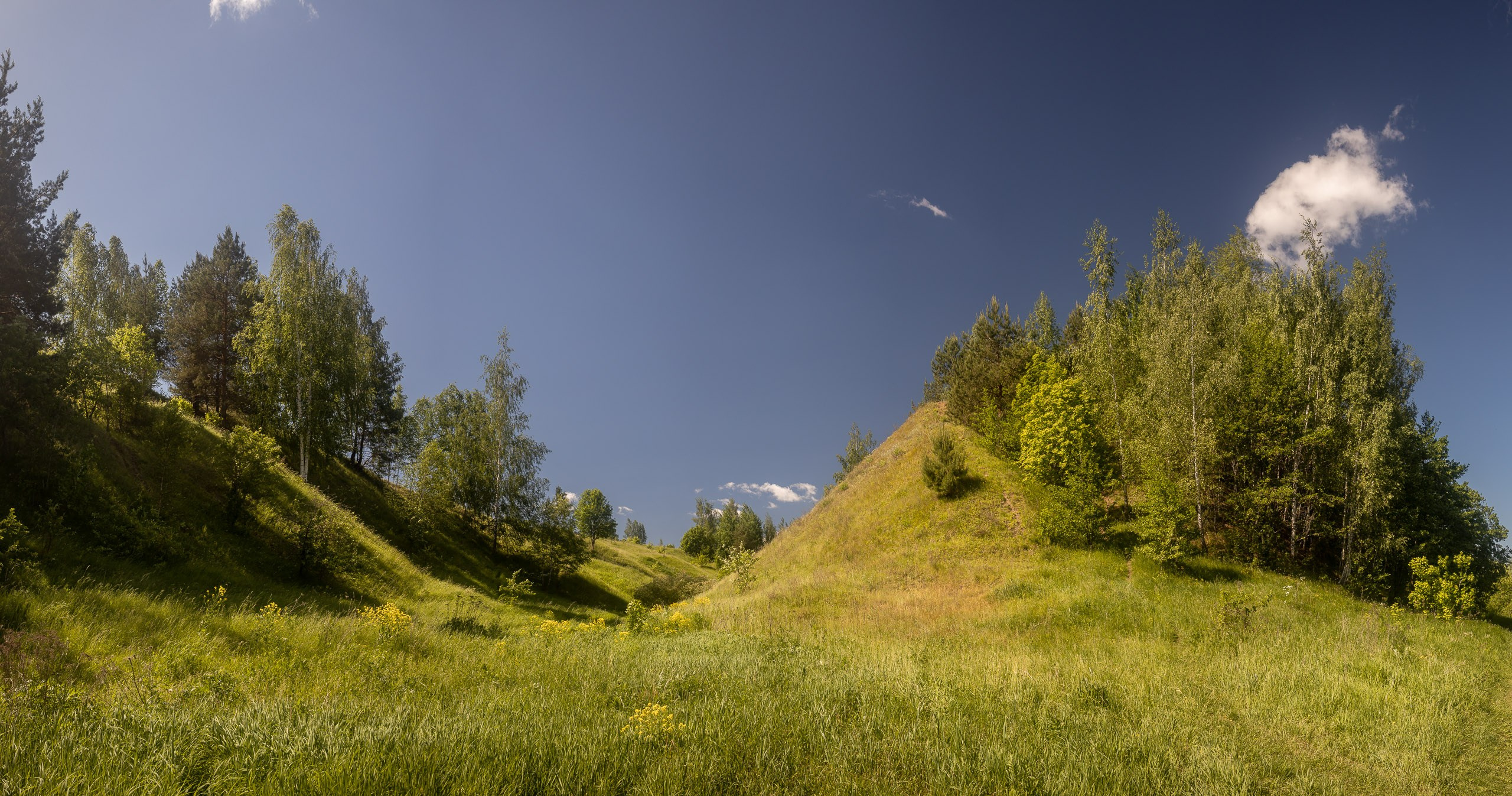 Холмы в Константиново