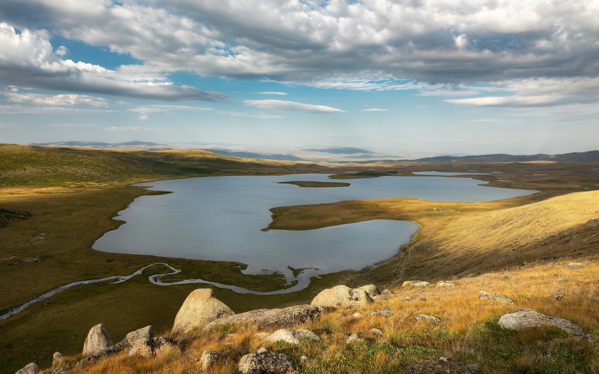 Сокровище степи. Кош-Агачский район, август 2024