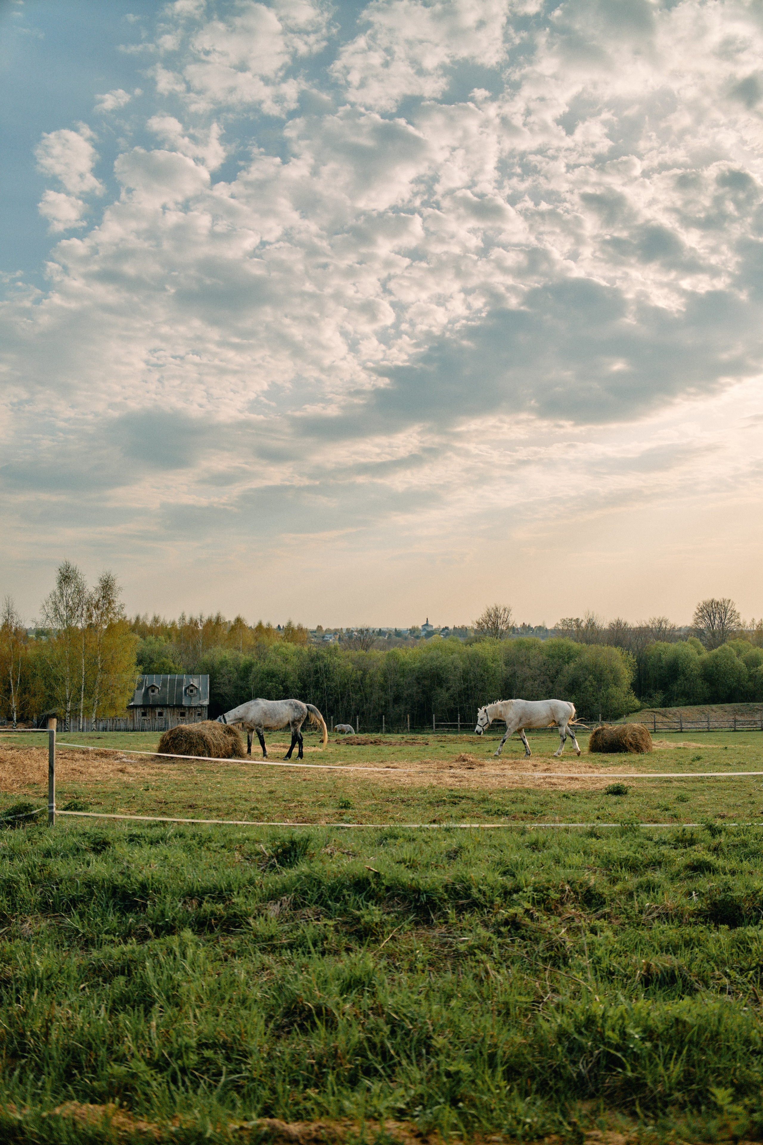 Бутик-отель Поле летом. Профессиональный Фотограф во Владимире, в Москве и в Суздале — Полина Романычева