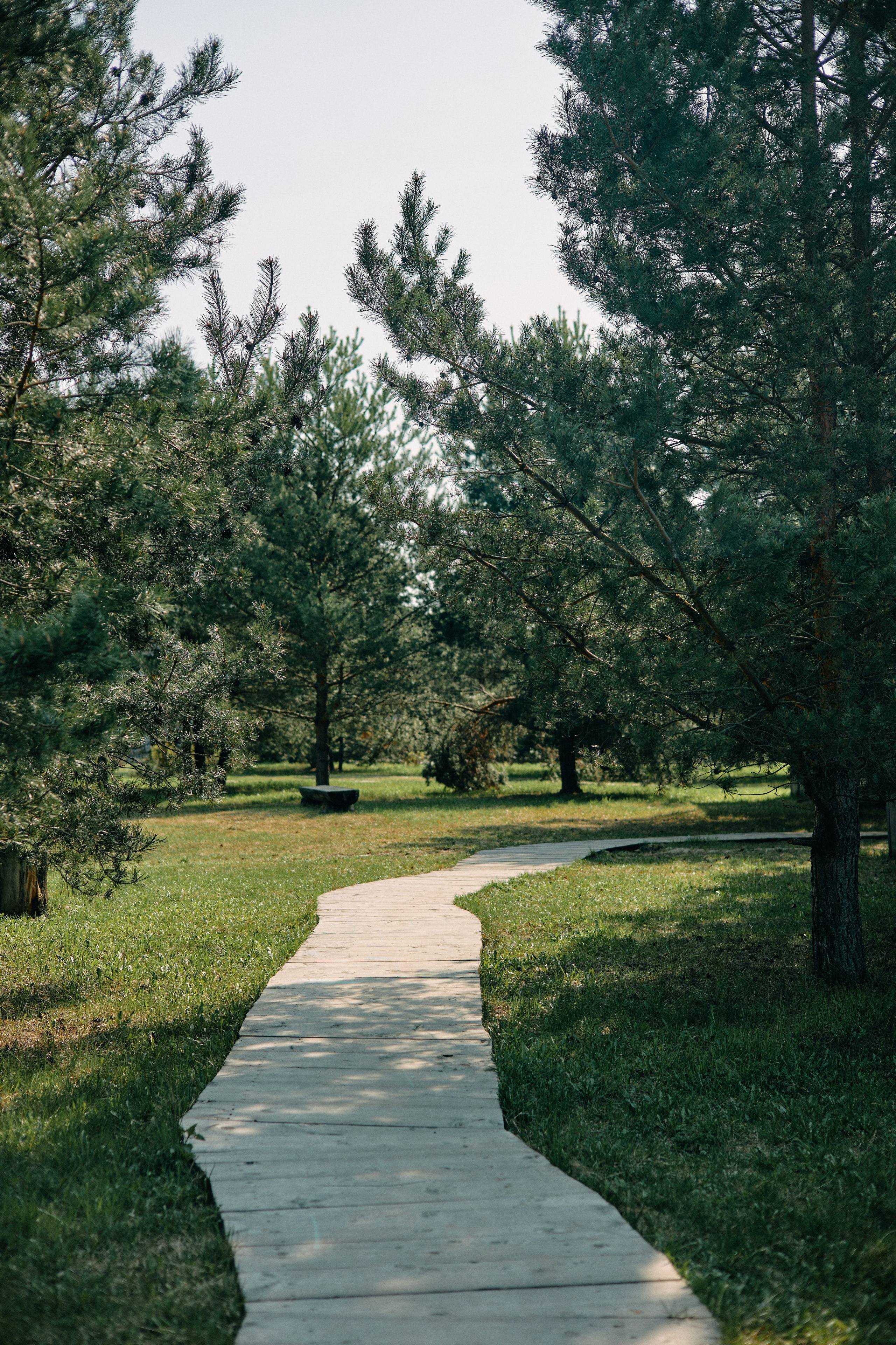 Бутик-отель Поле летом. Профессиональный Фотограф во Владимире, в Москве и в Суздале — Полина Романычева