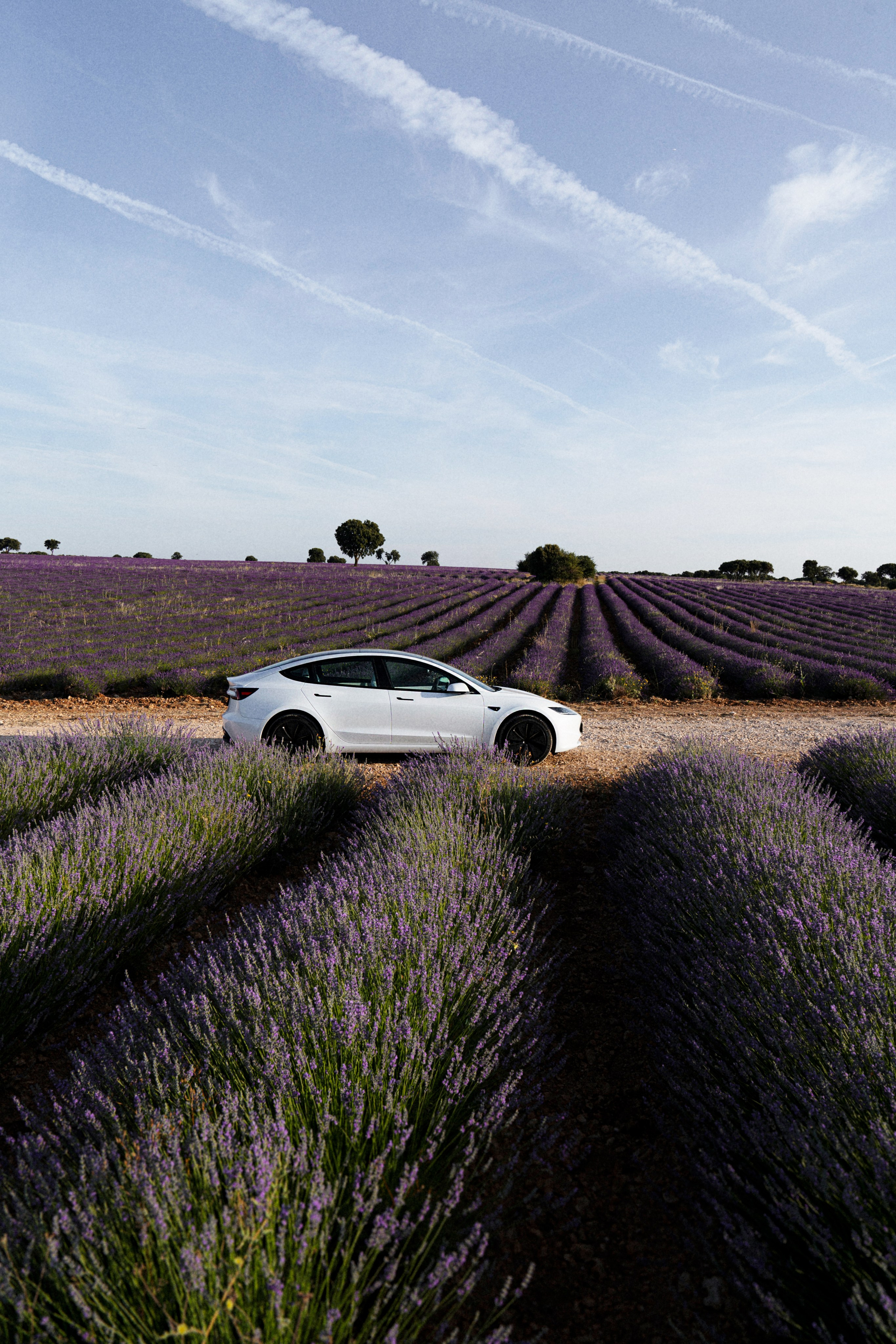 Испанский Прованс (рассвет). ...........