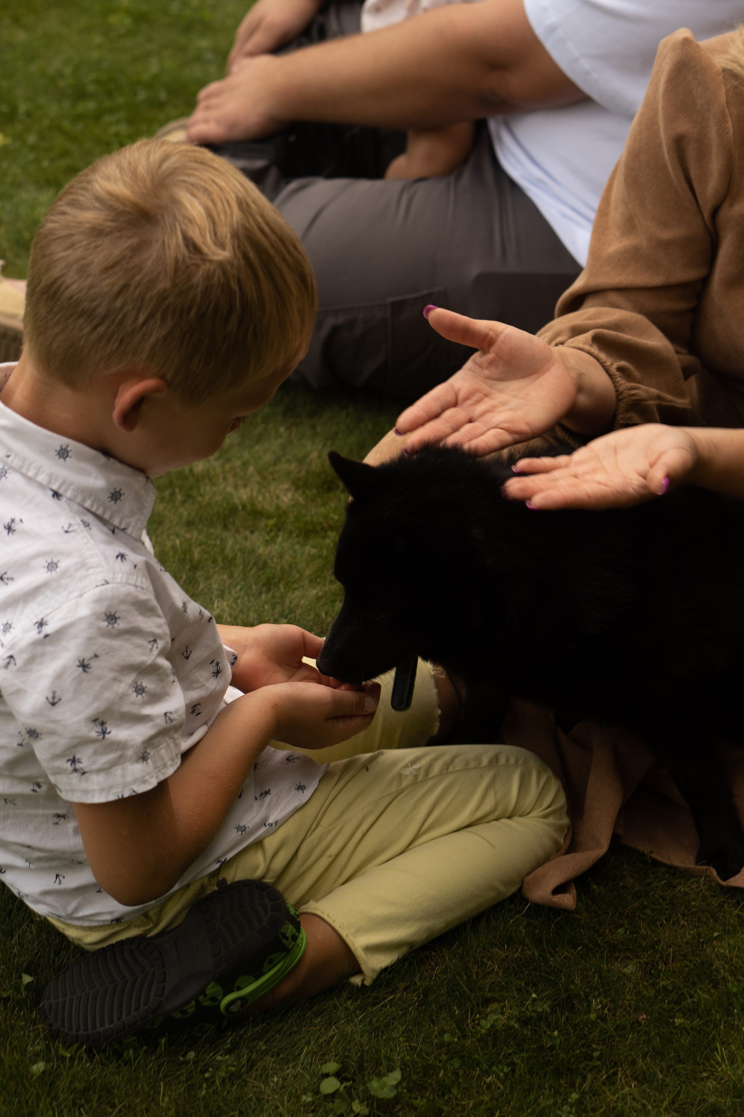 Семейная съемка для Анны. Фотограф Катя Стрельцова