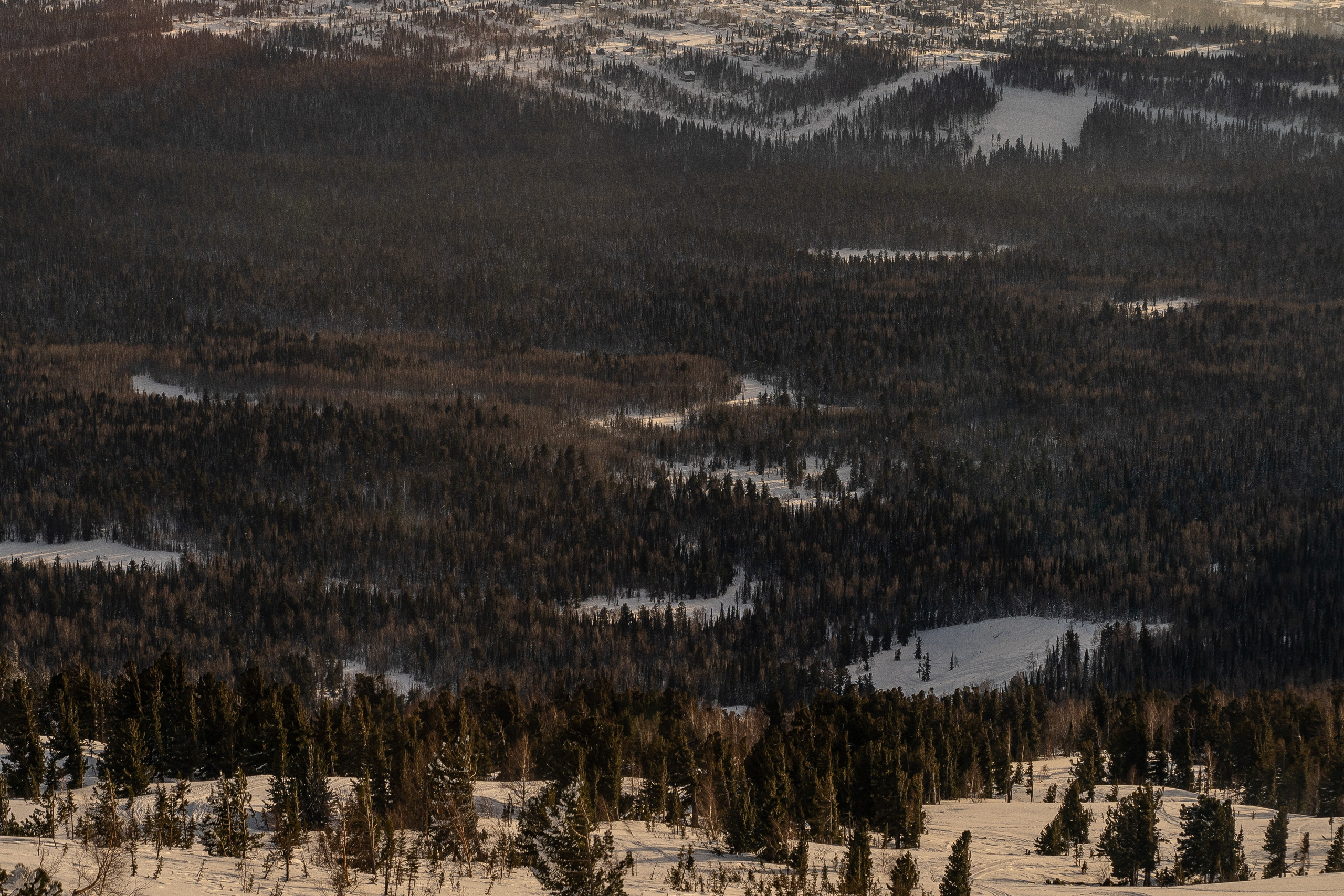 Mountain Patrol. Анастасия Паршукова — фотограф Шерегеш Новосибирск