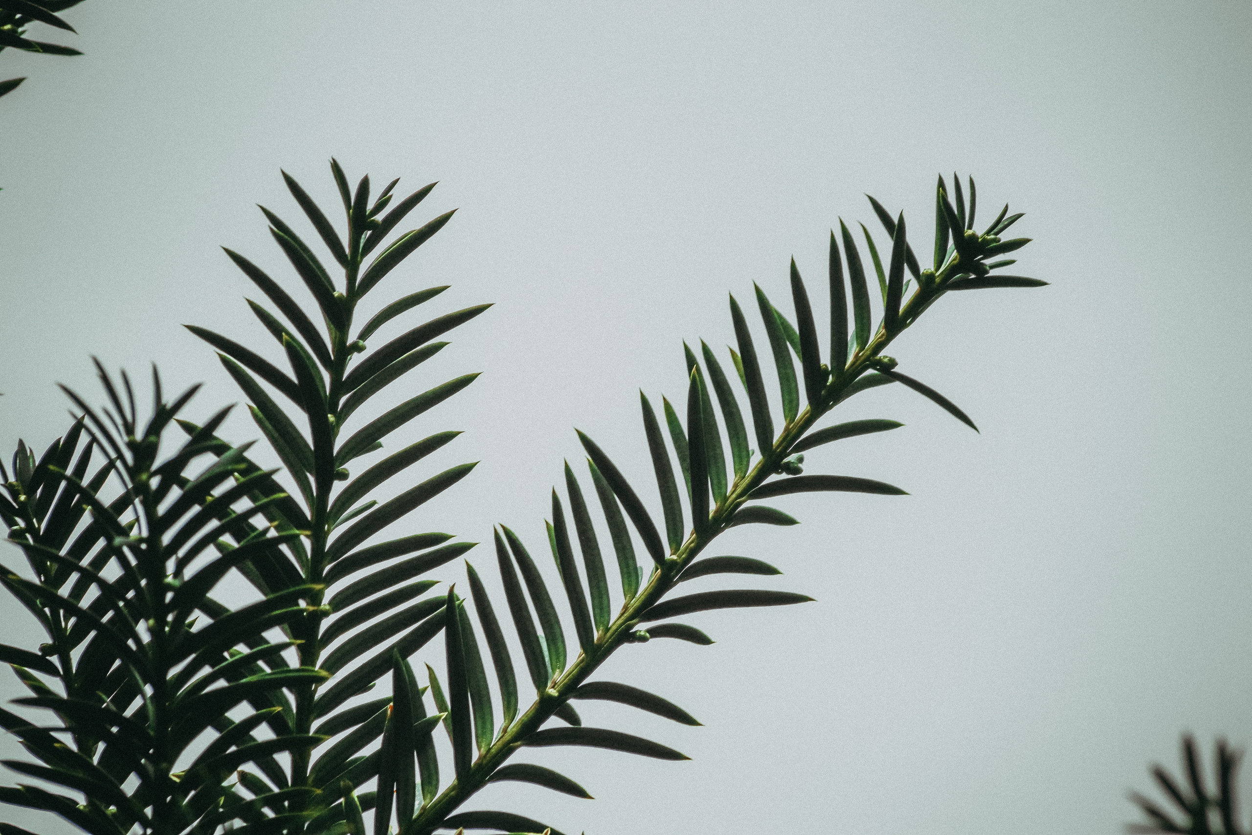 М И Н И М А Л И З М. — Digital Noise —