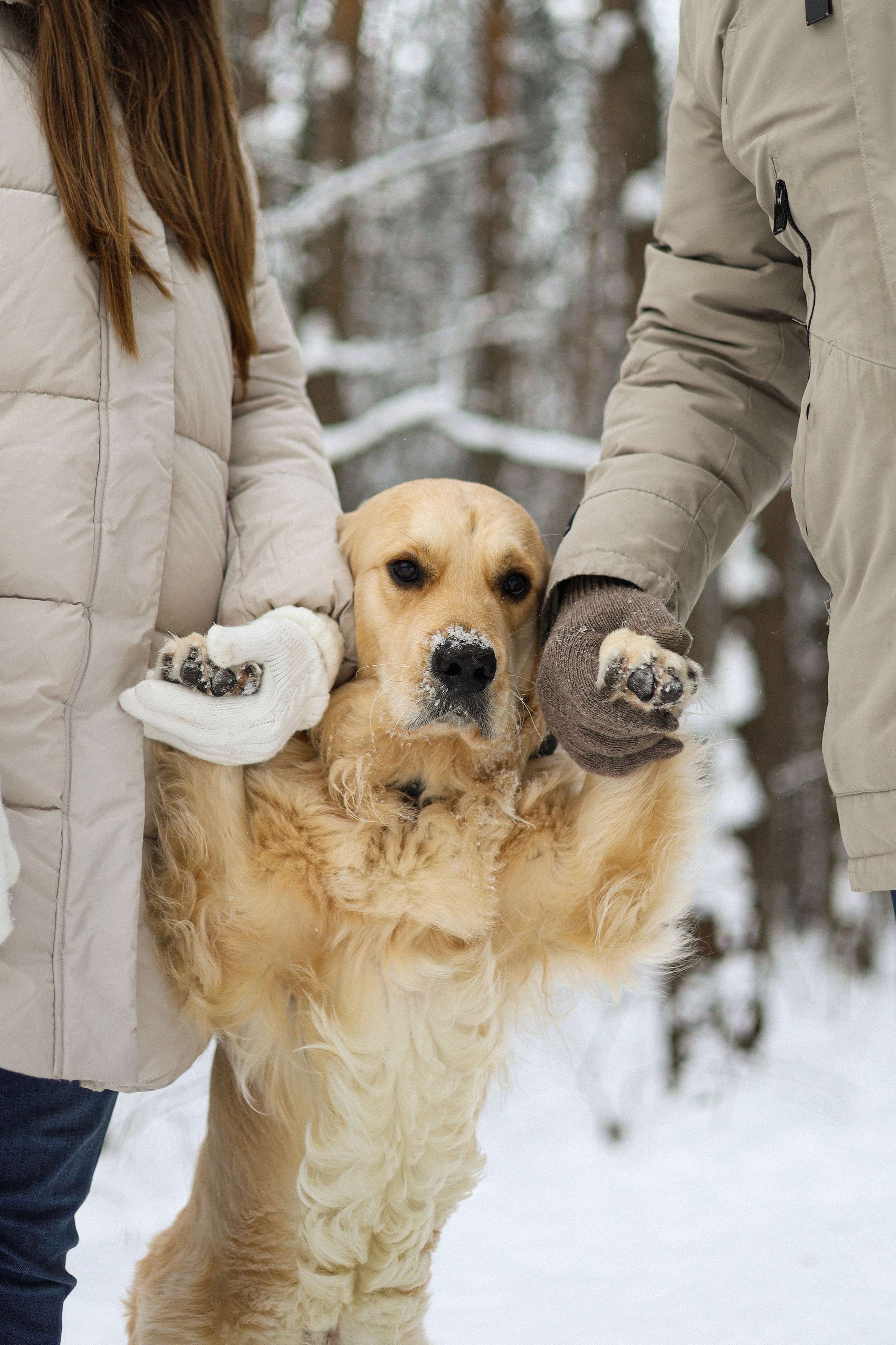 Стивен, Лена и Миша. Фотограф-анималист Ксения Шевцова|Москва