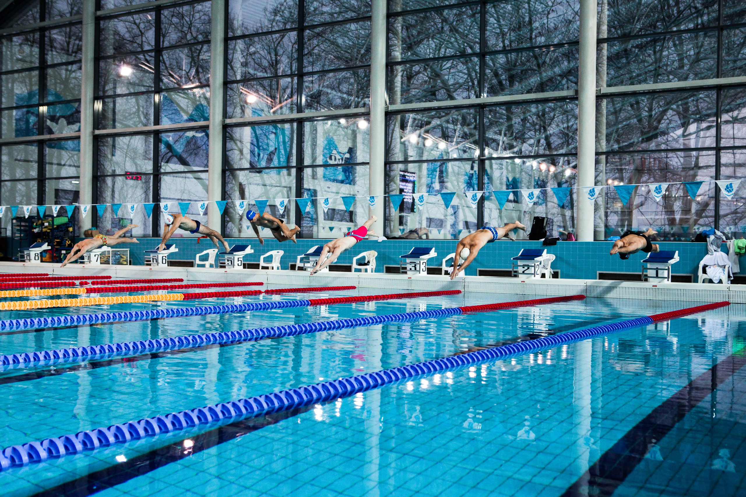 Соревнования по плаванию. Репортажный, семейный, свадебный, портретный фотограф