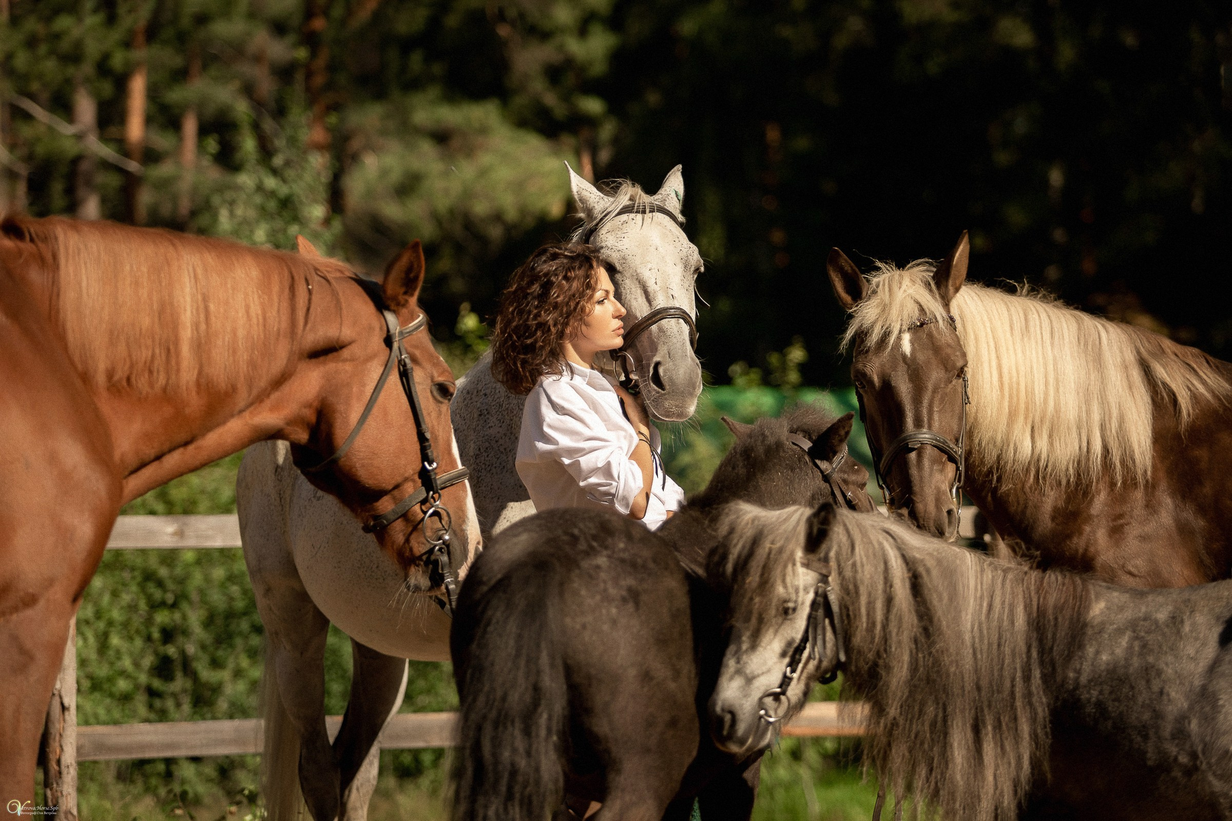 Фотосессия с лошадьми в кантри стиле. Фотограф женский и мужской портрет Санкт-Петербург