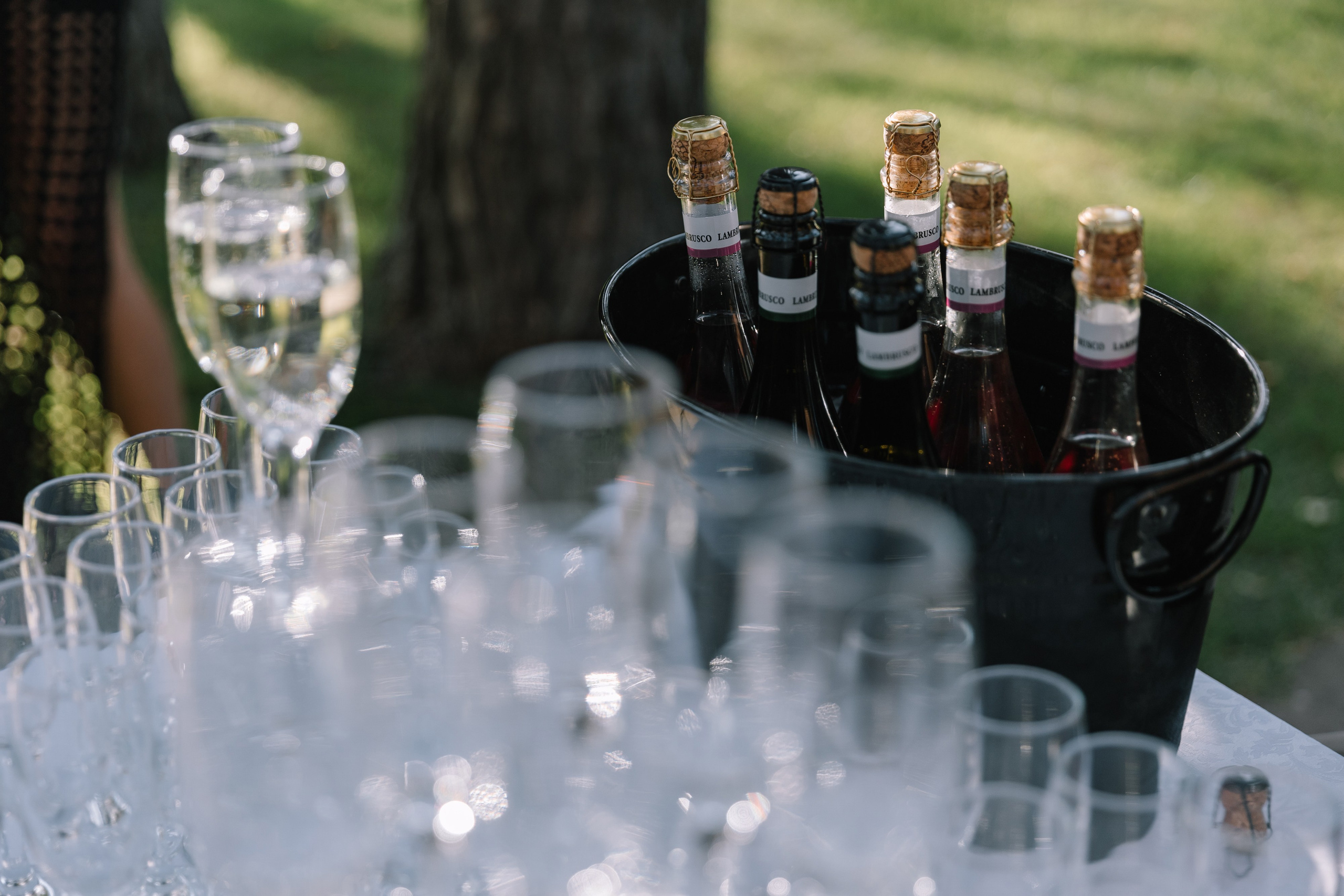 В первый день сентября. Фотограф Елена Краснопевцева