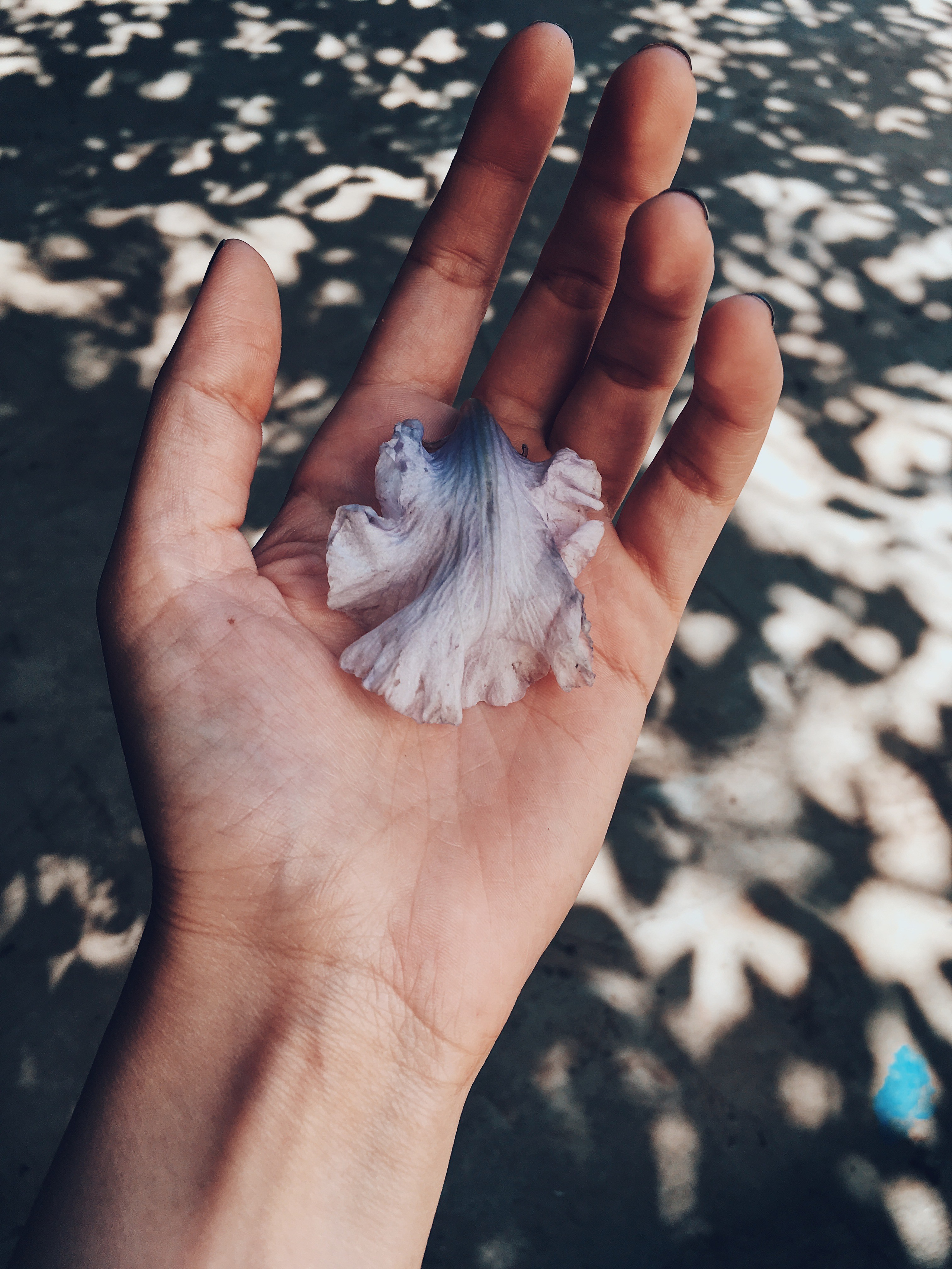 Визуальный дневник. Портретный фотограф в Москве Гахраманова Екатерина