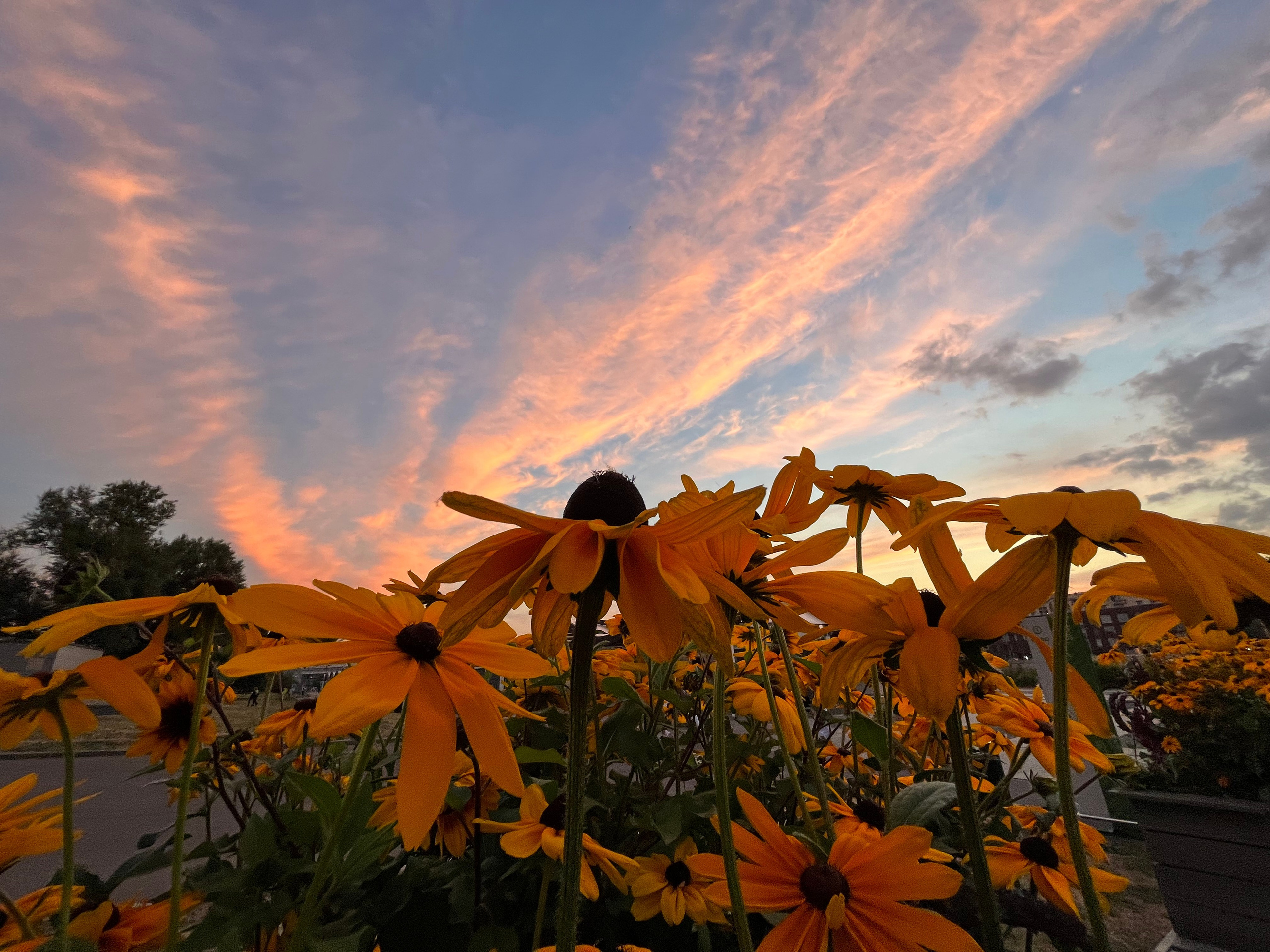 Визуальный дневник. Портретный фотограф в Москве Гахраманова Екатерина