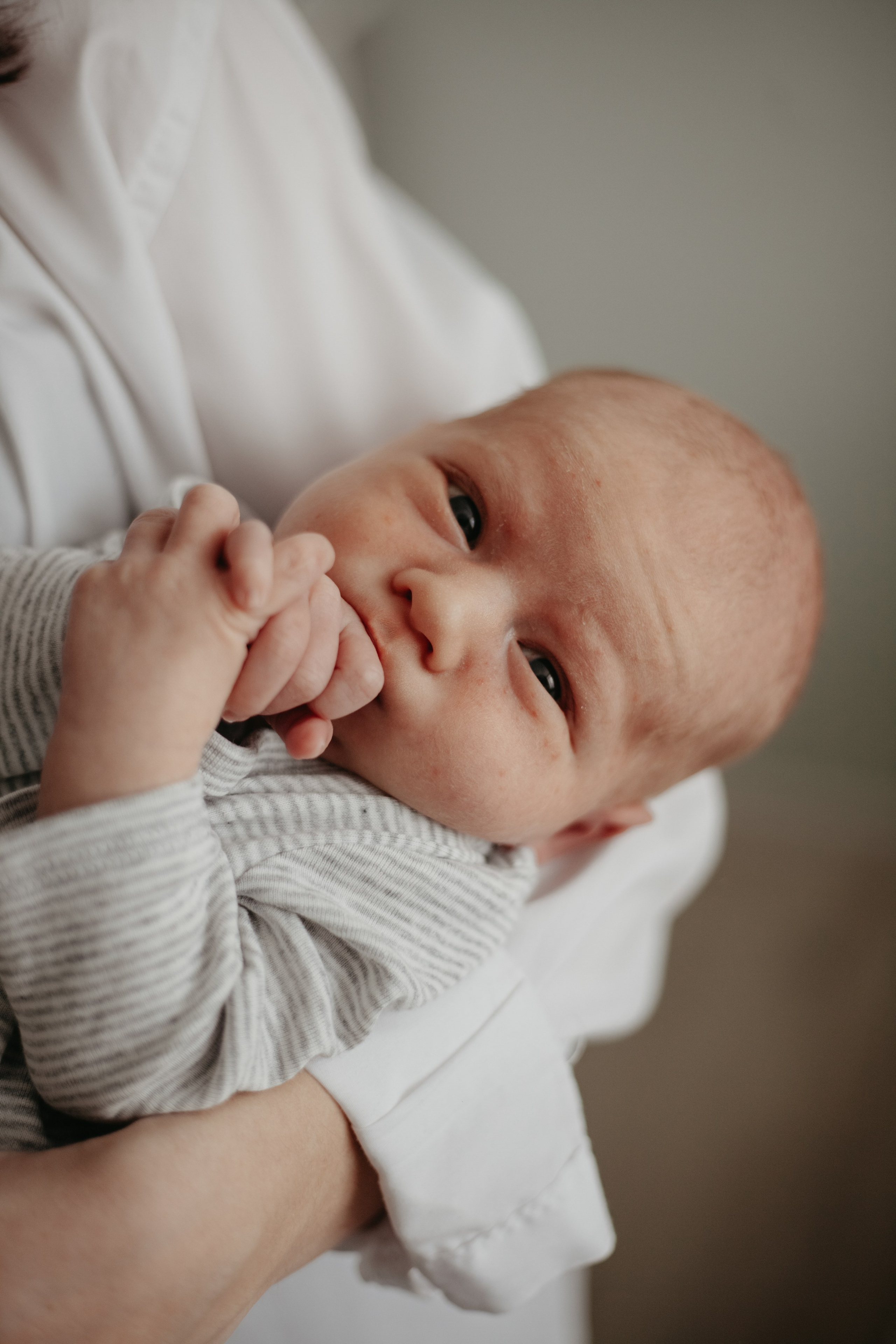 Саша Настя София и Паша. Семейный фотограф Москва
