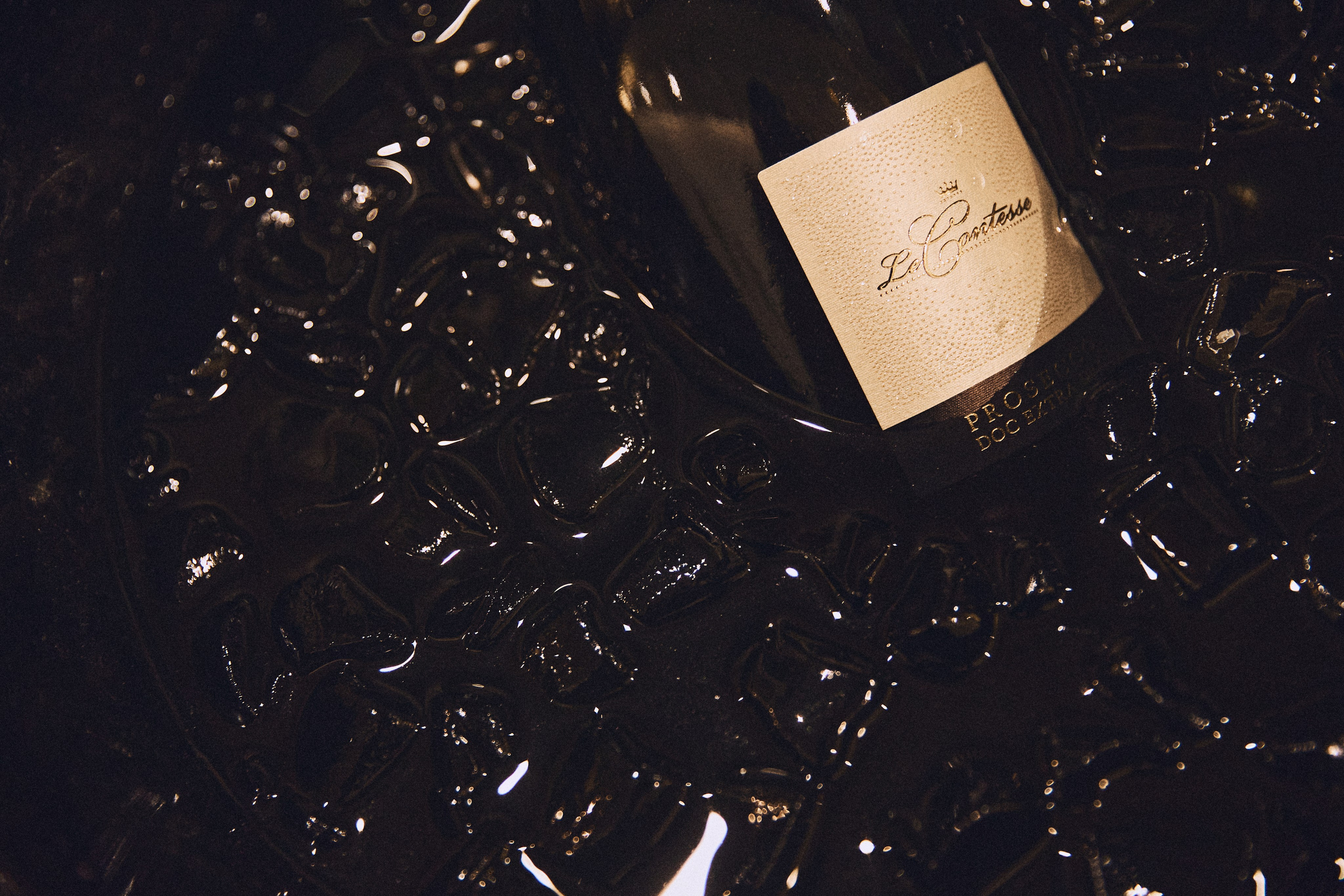 50 YEARS TOGETHER. Дмитрий Мазуркевич: Профессиональный Репортажный Фотограф