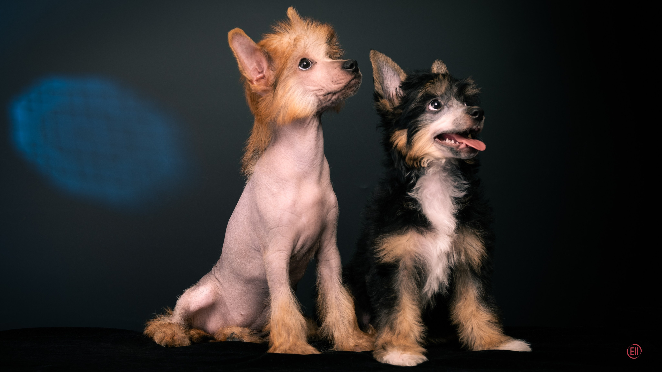 07.06.2025 Синяя фотосессия. Фотограф в Москве