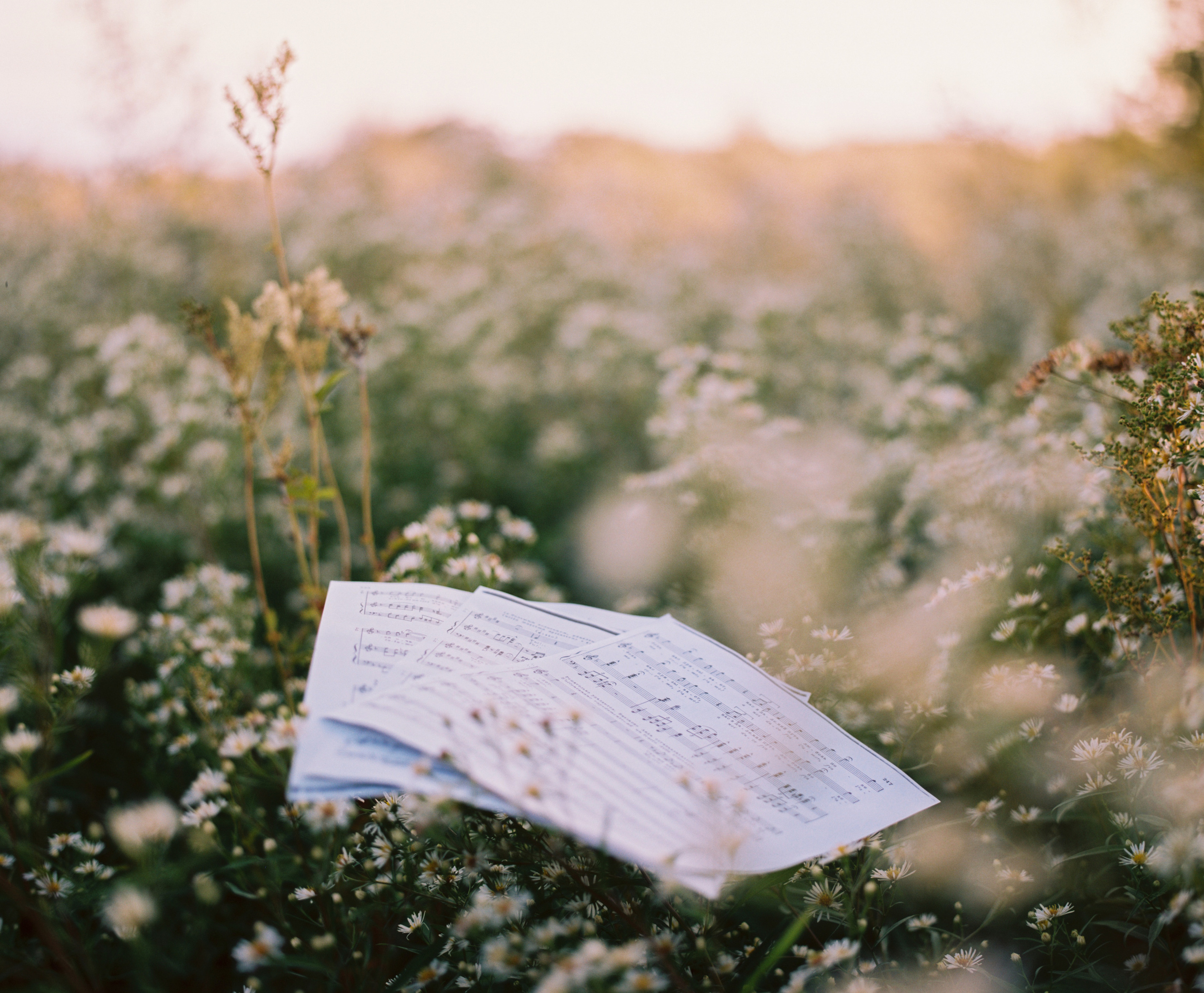 Dmitrii. Асхат Бардынов