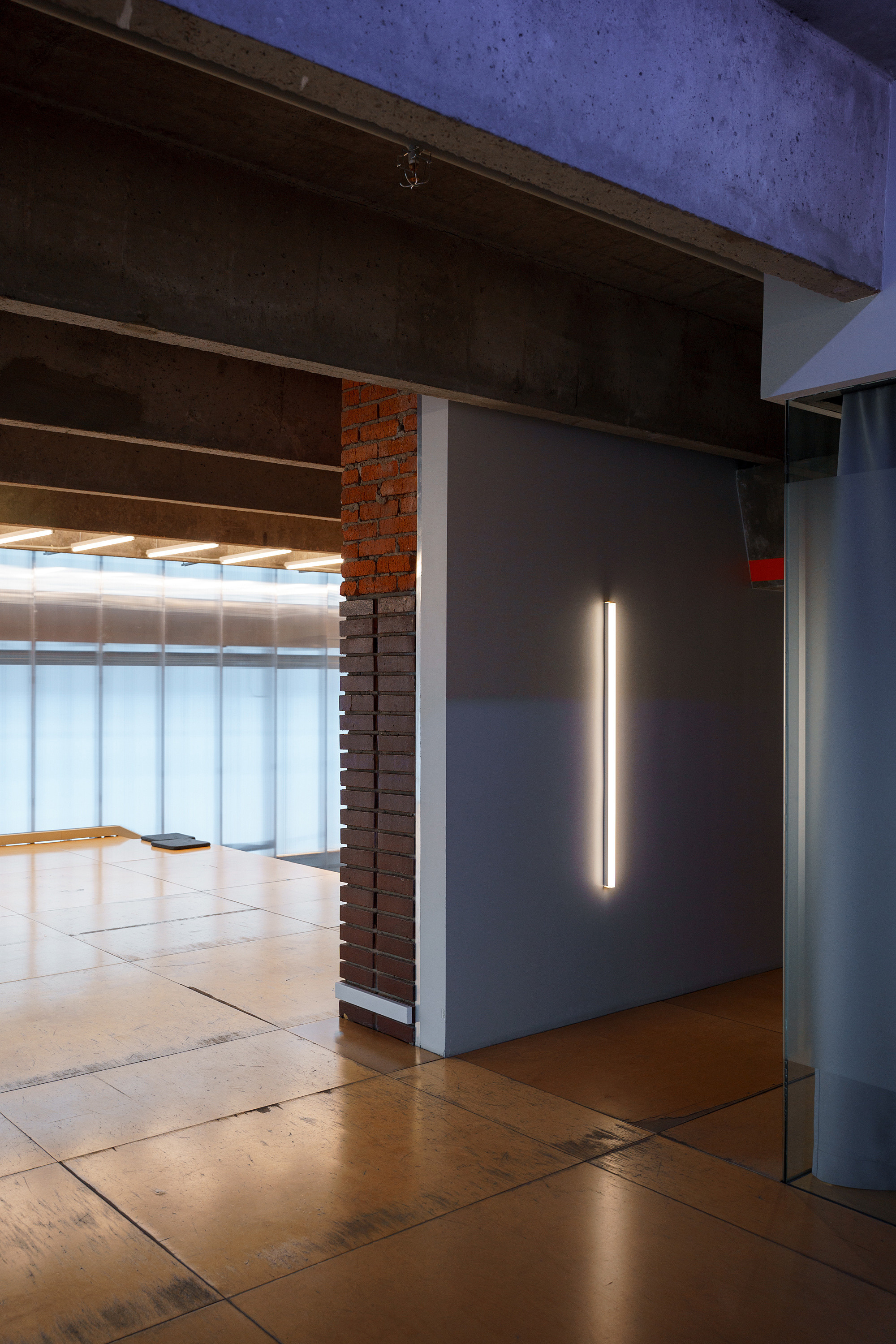 Музей современнного искусства Гараж. Асхат Бардынов