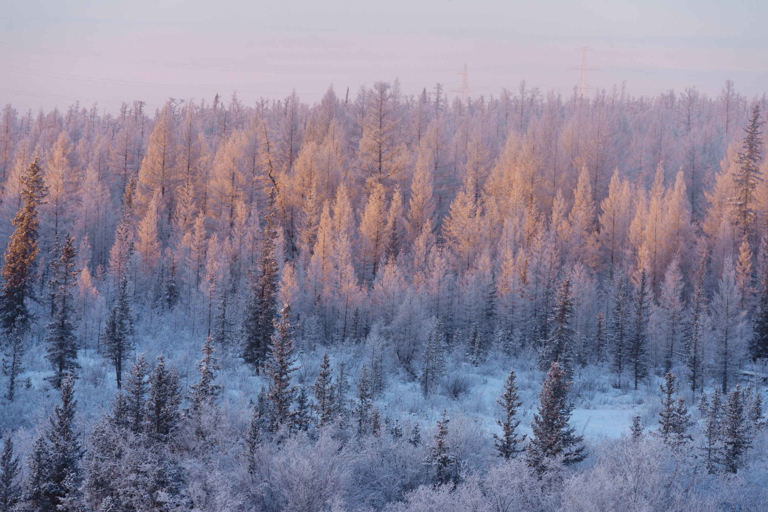 Алмазный промысел компании Алроса. Асхат Бардынов