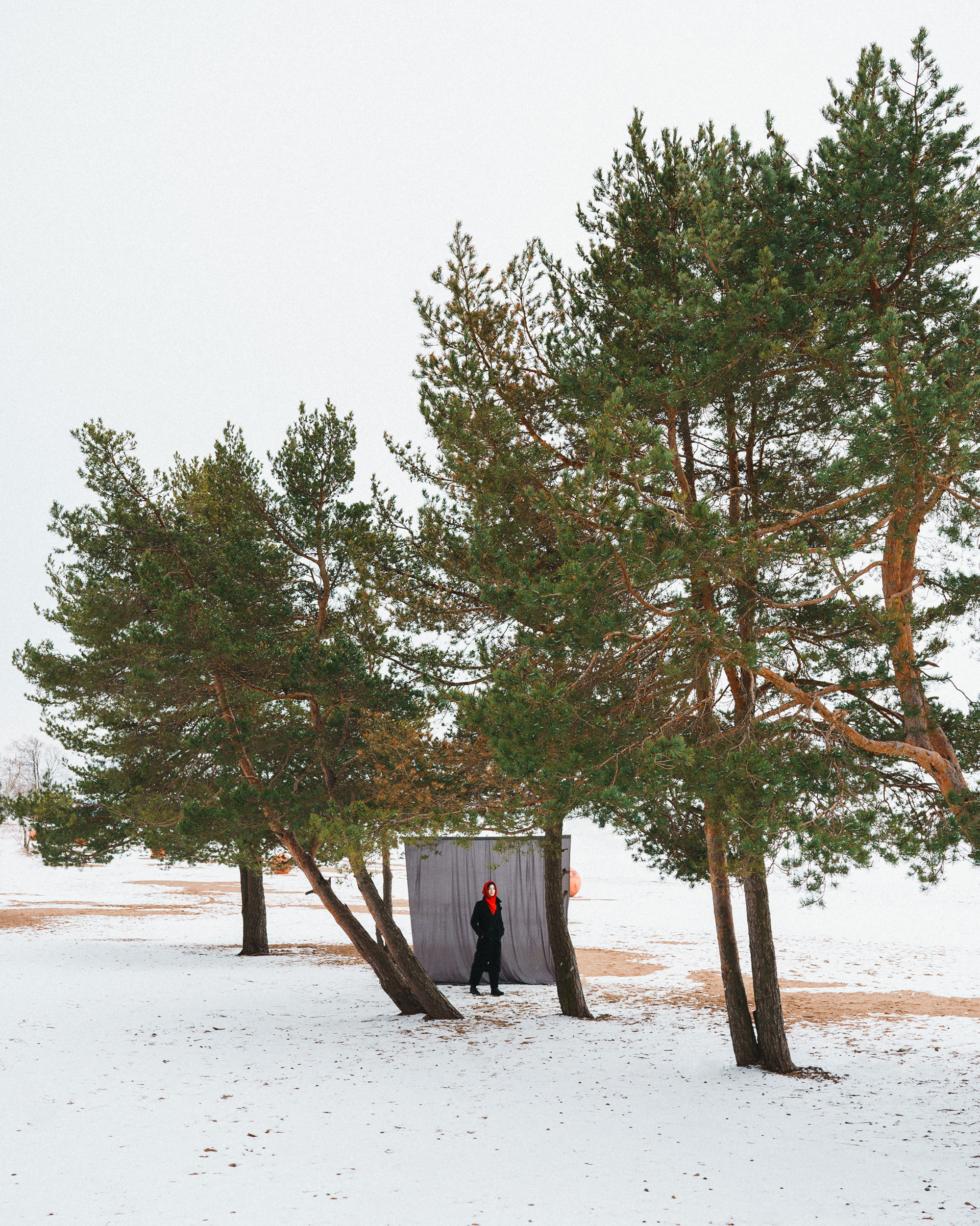 Lisa. Асхат Бардынов