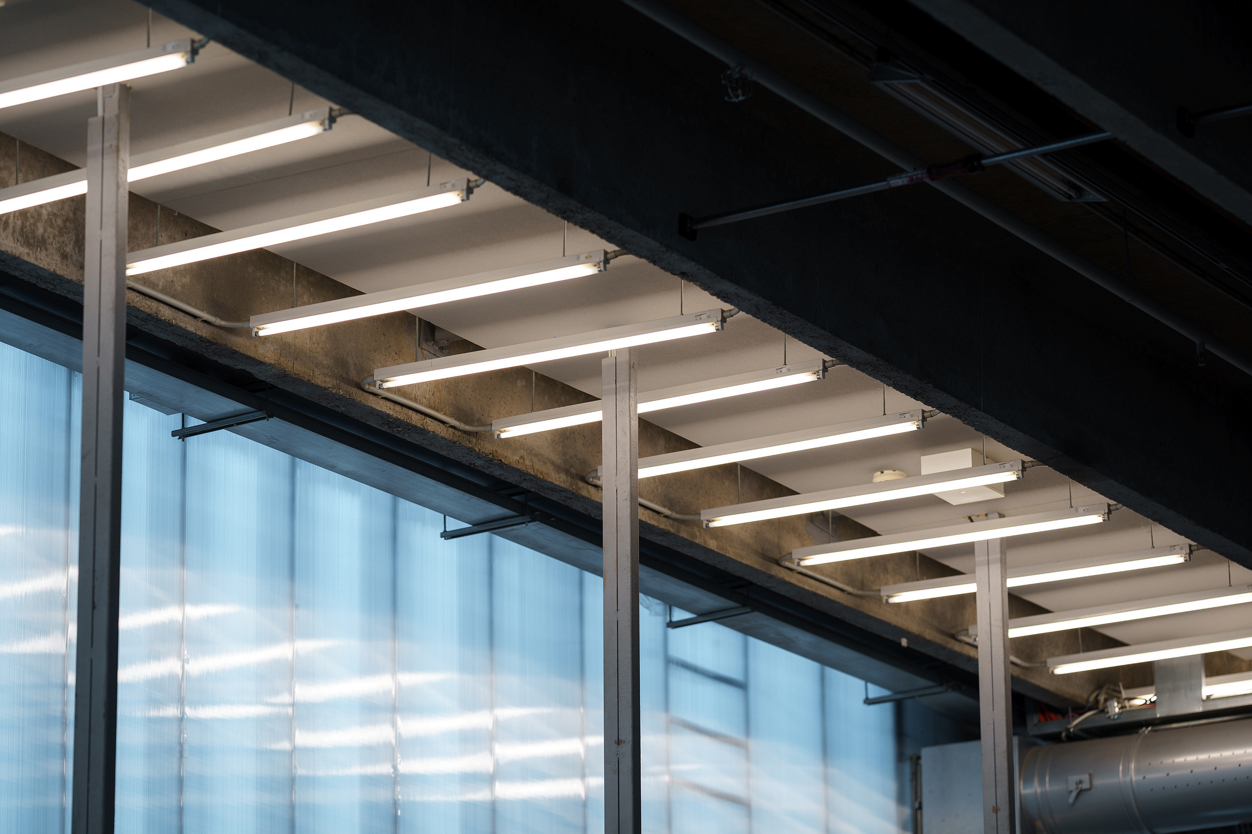 Музей современнного искусства Гараж. Асхат Бардынов