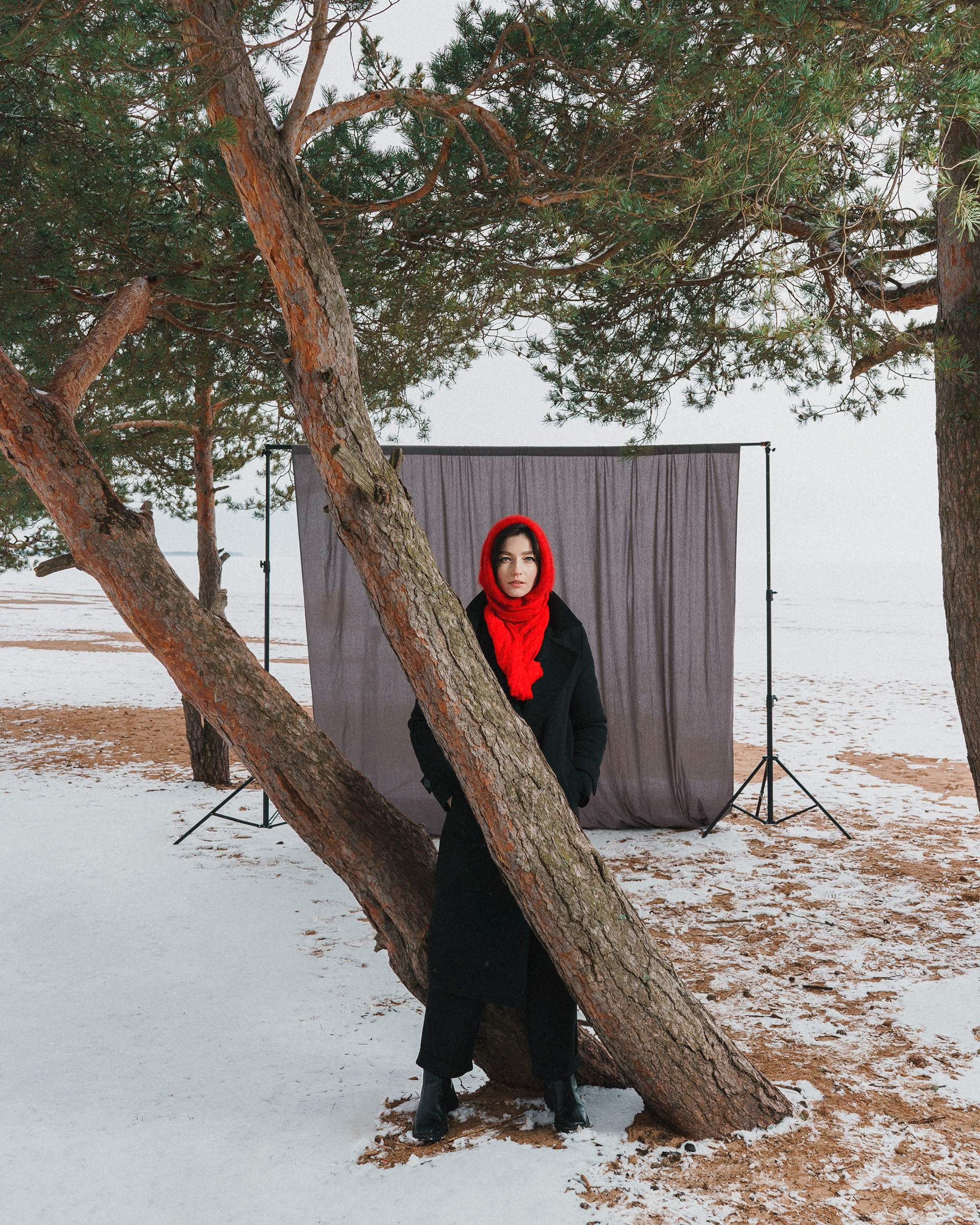 Lisa. Асхат Бардынов