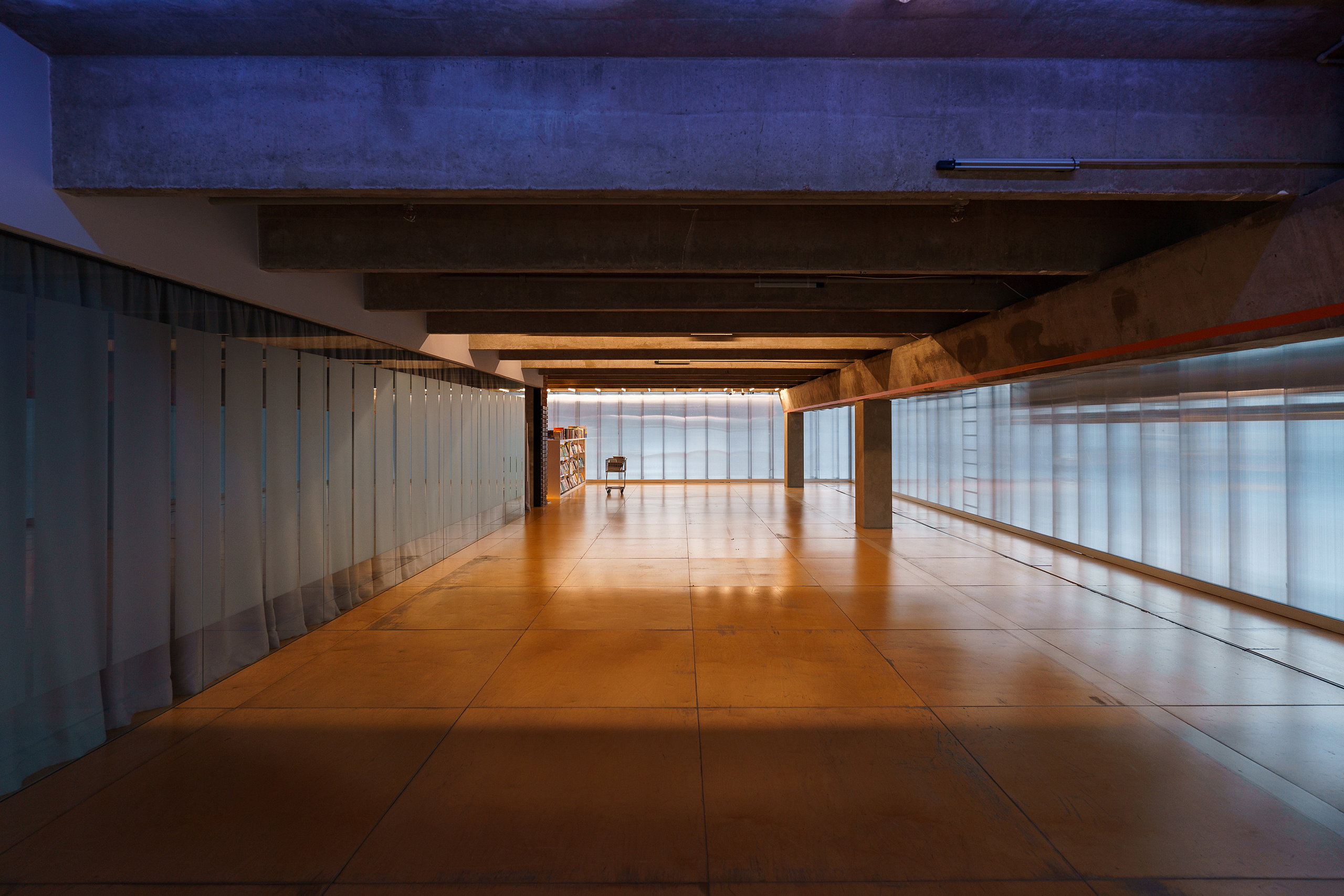 Музей современнного искусства Гараж. Асхат Бардынов