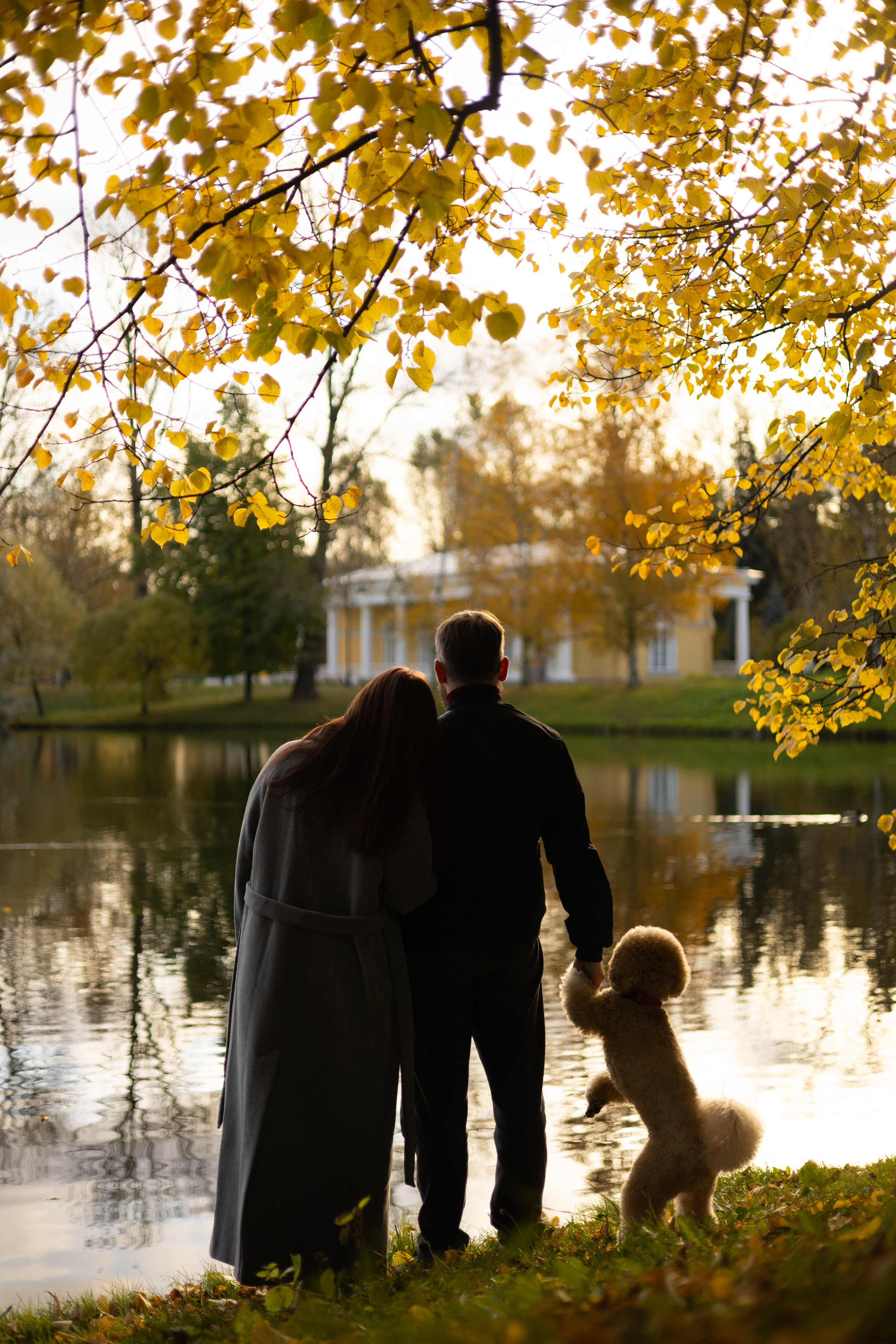 Полина, Рома и Рич. Фотограф животных Евгения Верцинская