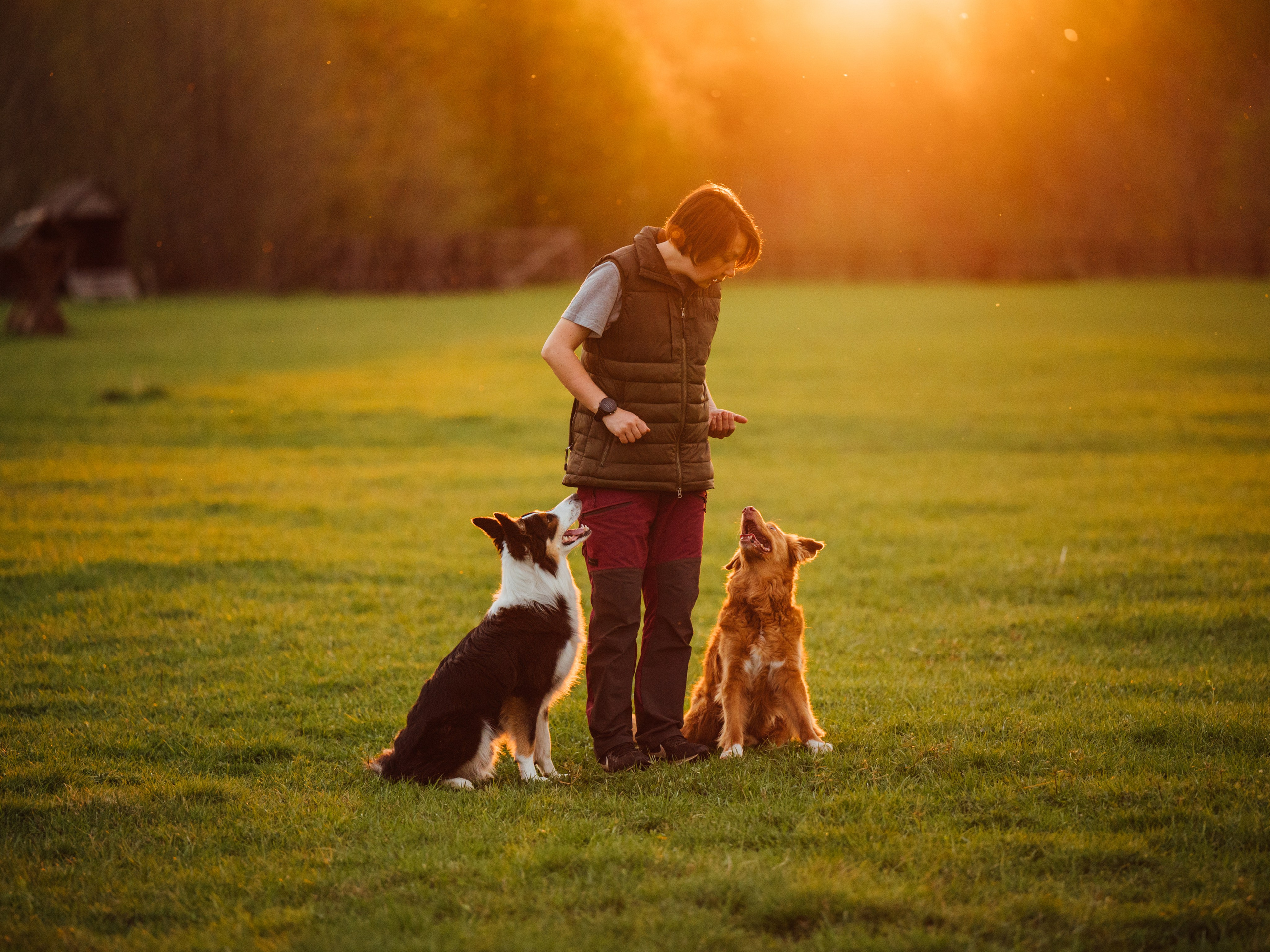 Алия, Ирвин и Грут. Семейный фотограф анималист Ананьева Мария — Москва
