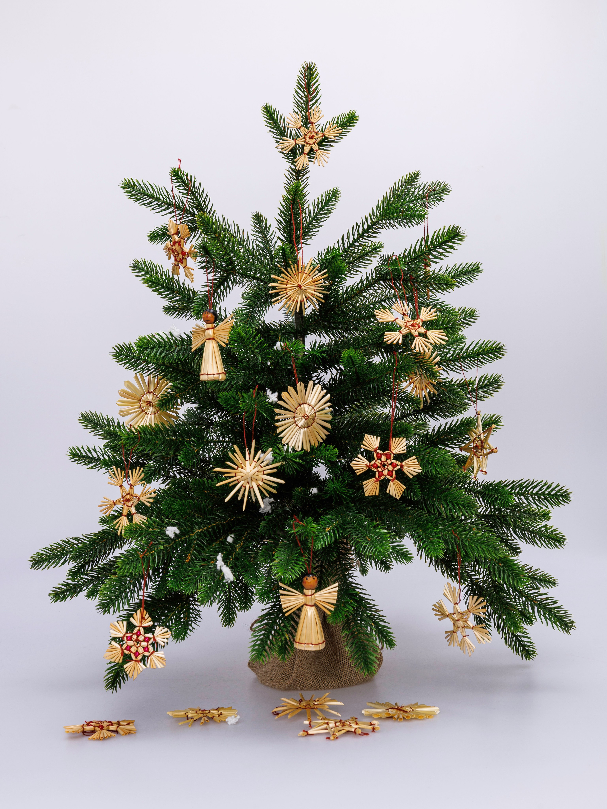 HAPPY NEW YEAR 2025. Главная