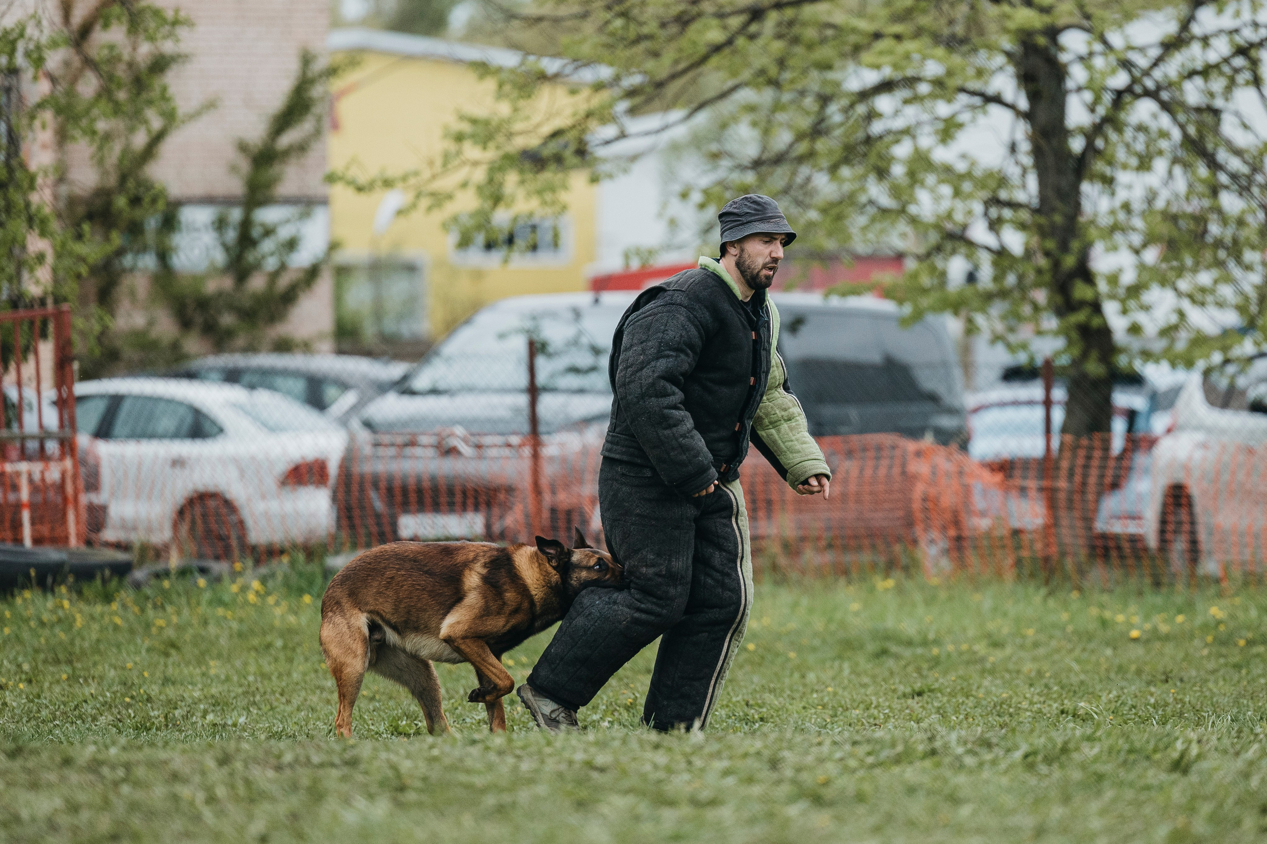 26.05.25 г. Пушкин квалификационные соревнования. Фотограф-анималист Анна Маринич