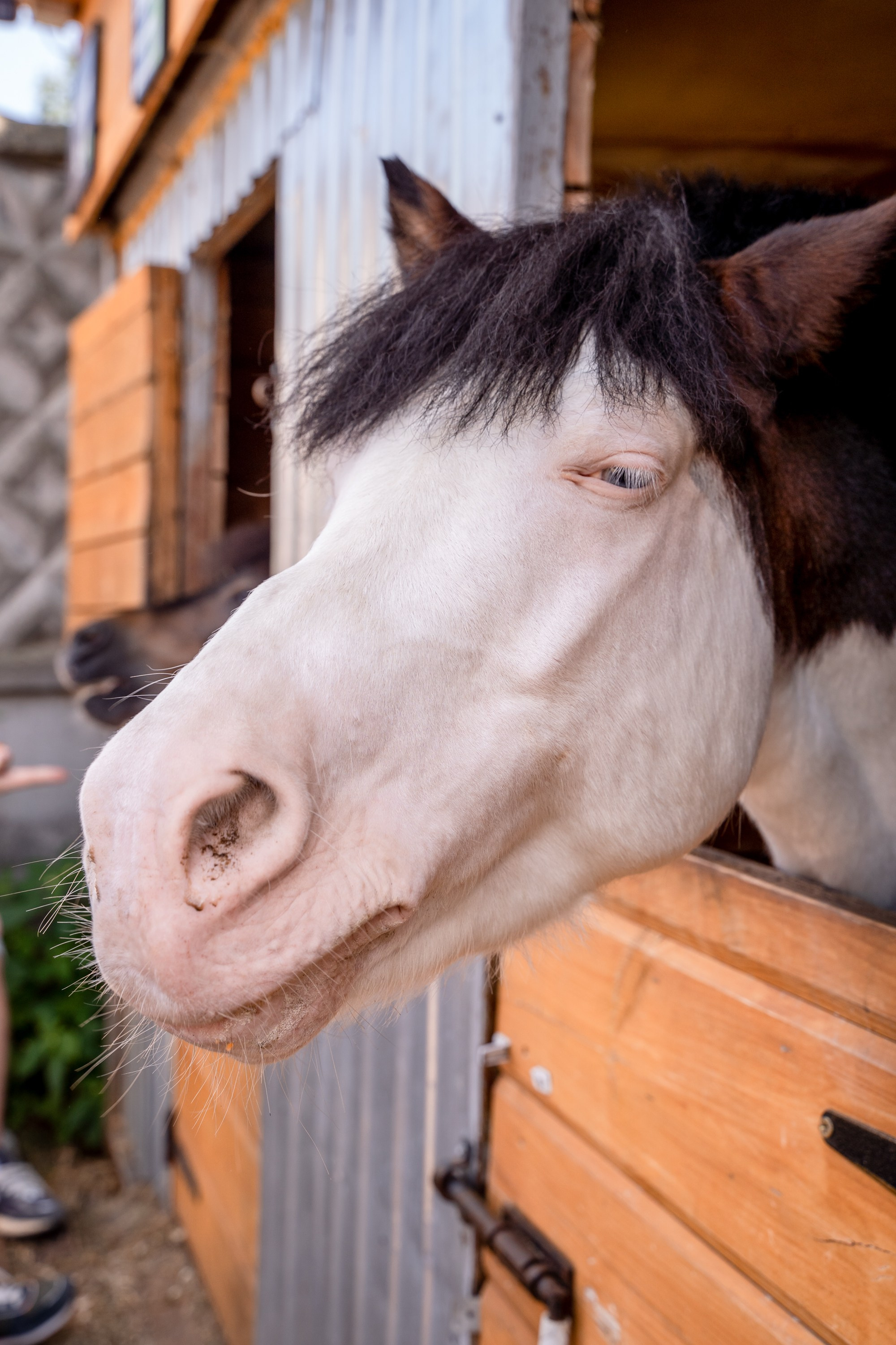 Корпоративные. Семейный и детский фотограф Ирина Ильиных-Вольная в Москве и не только