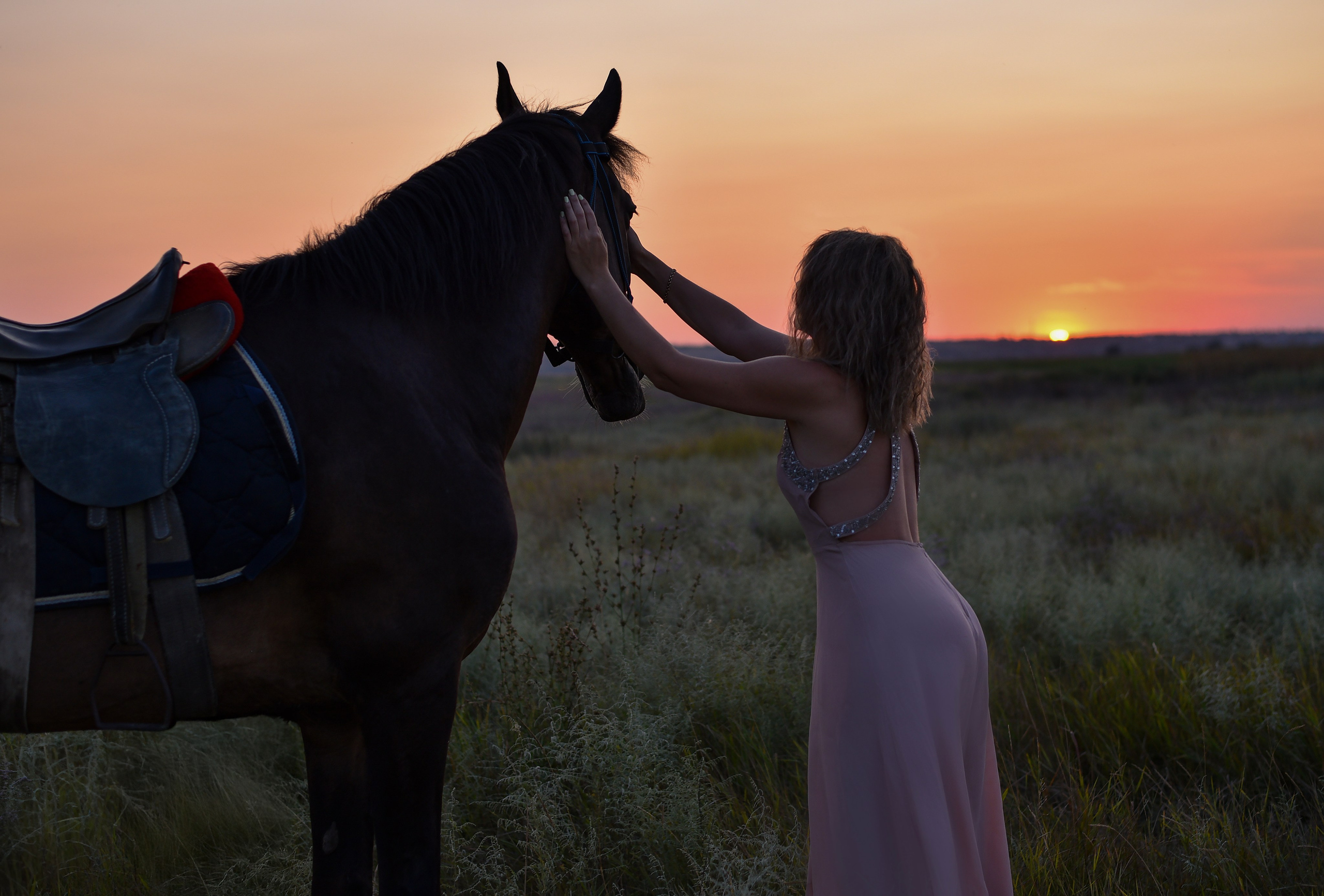 Леди и лошадь. Главная