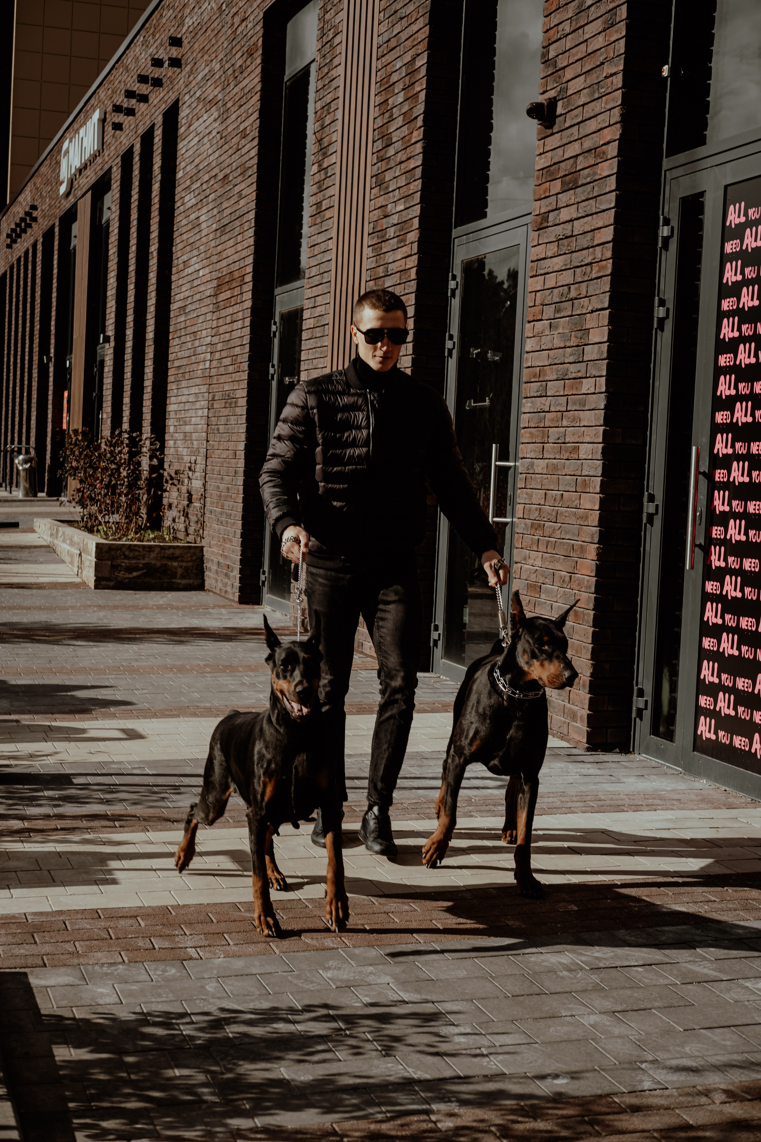 Прогулка с доберманами. Свадебный фотограф Челябинск