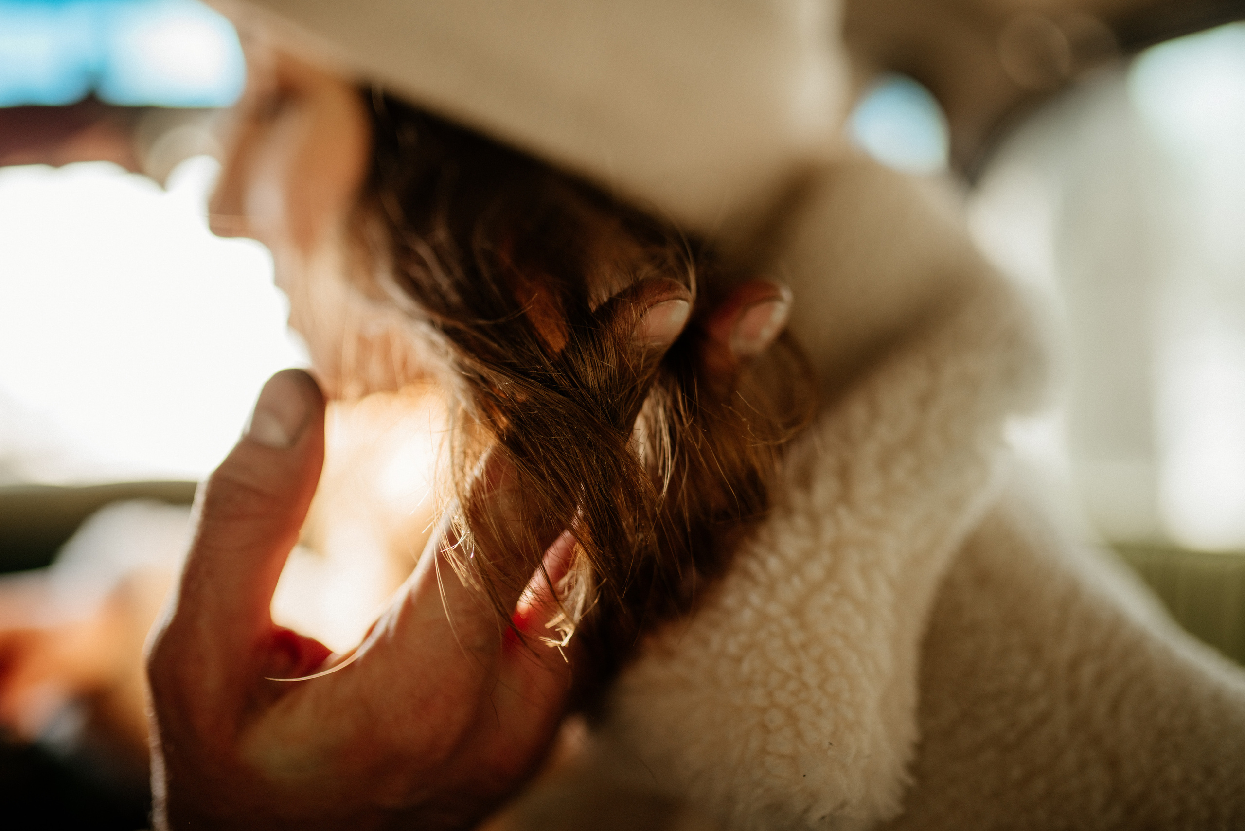 Артем и Аня. Свадебный и Семейный фотограф в Ярославле Алёна Колясникова