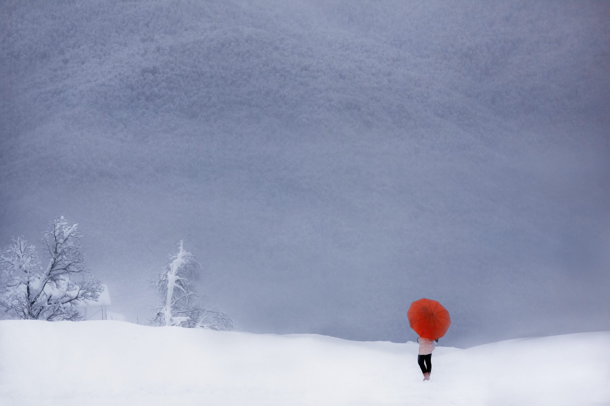 Россия | Фотограф Дмитрий Купрацевич. Дмитрий Купрацевич профессиональный пейзажный и travel-фотограф