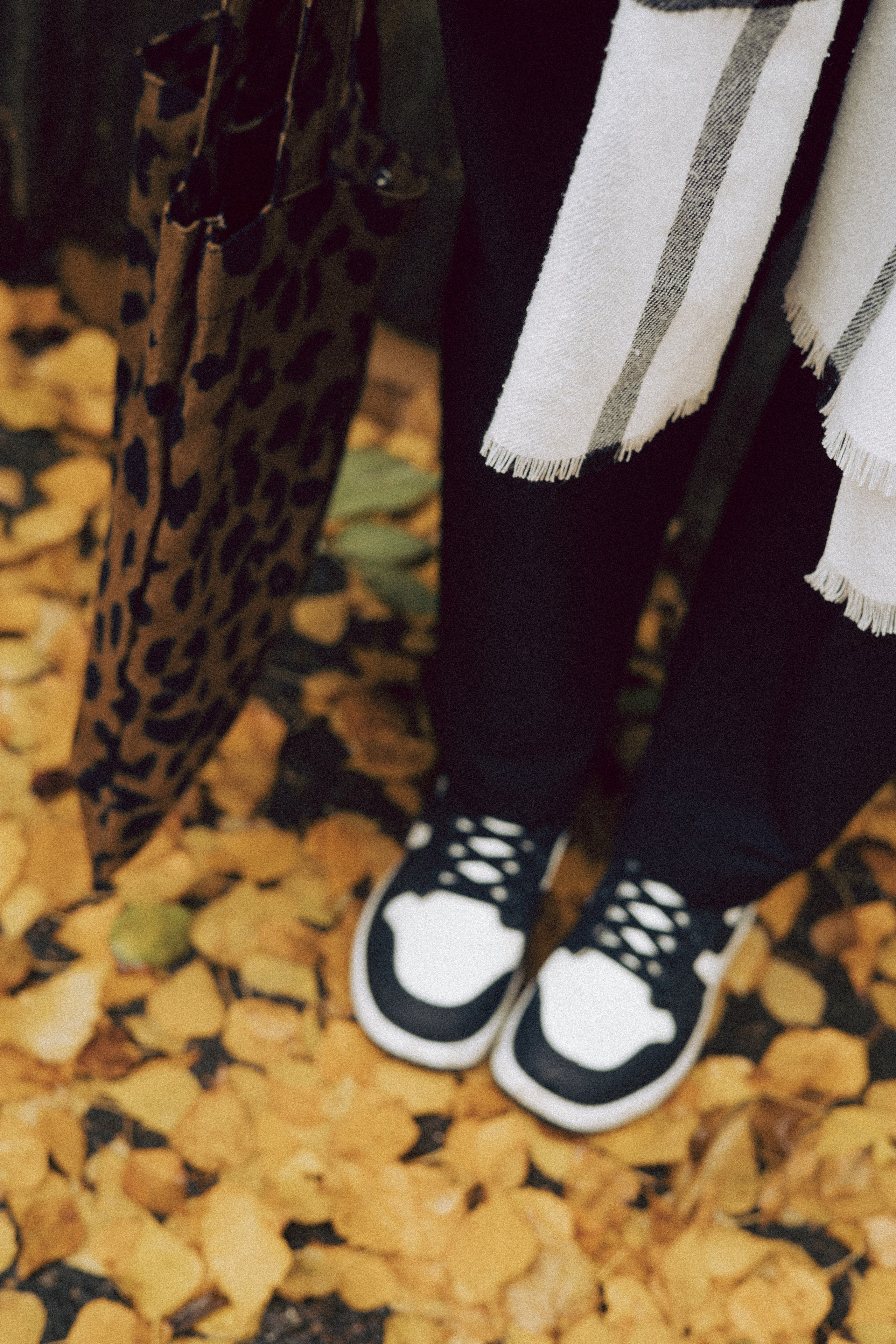 Osen. Фотограф Мурманск | Нижний Новгород • Анна Хижняк