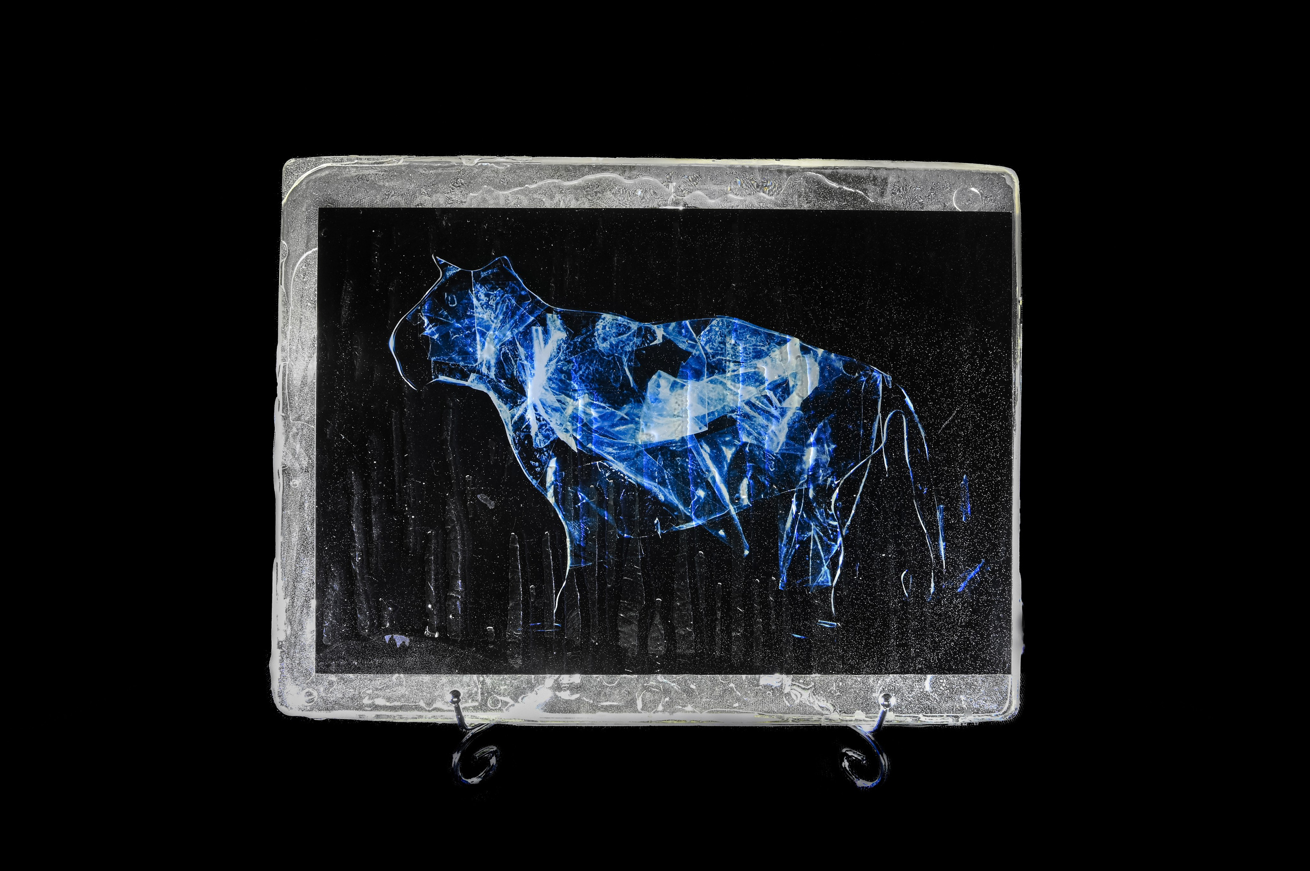 Яванский тигр. 2024 год. Размер : 30 см на 40 см. LightJet бумага Pearl, ламинация хол.глянцевая, накатка Dibond, эпоксидная смола. Цена по запросу