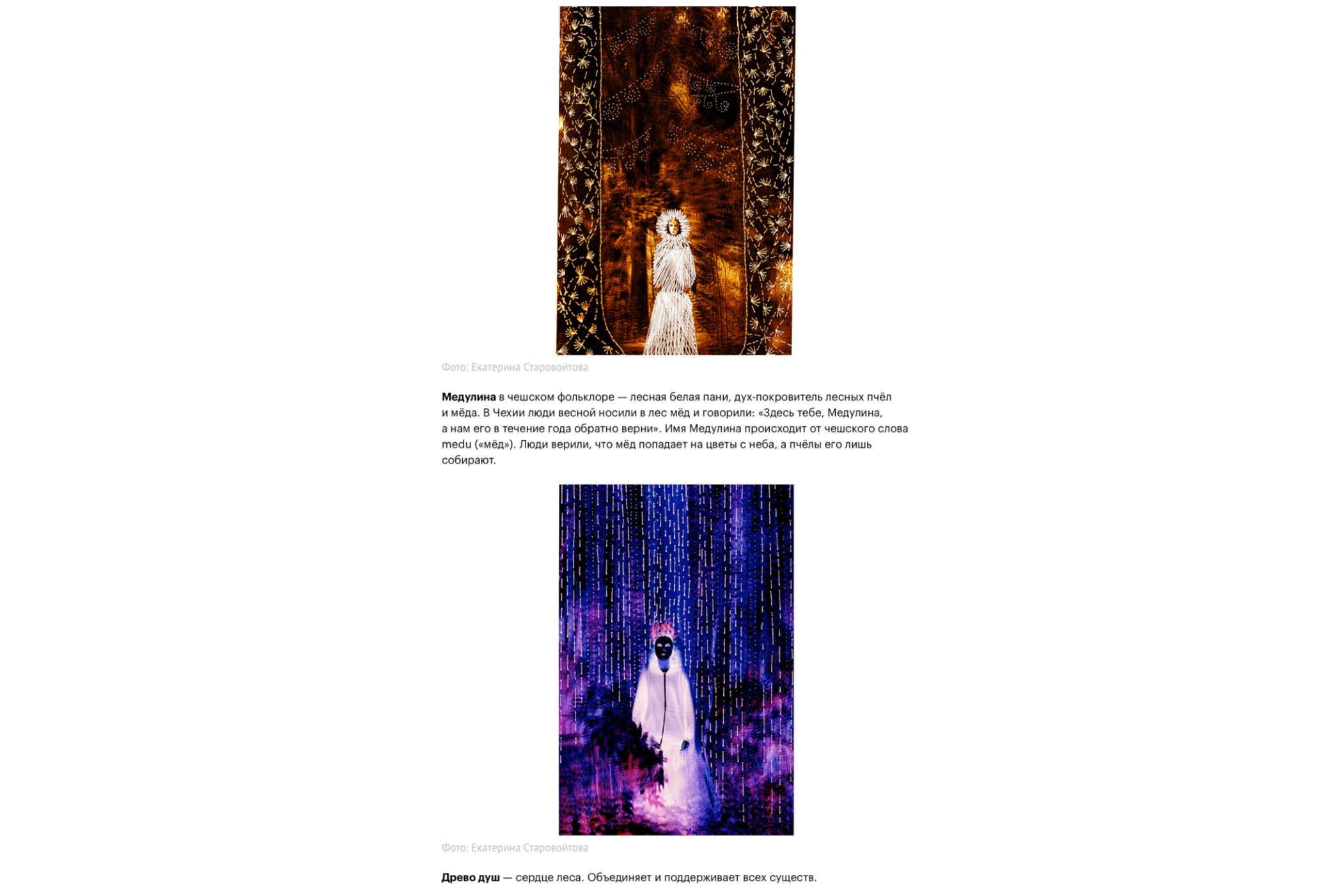 Skillbox. Междисциплинарный художник Екатерина Старовойтова