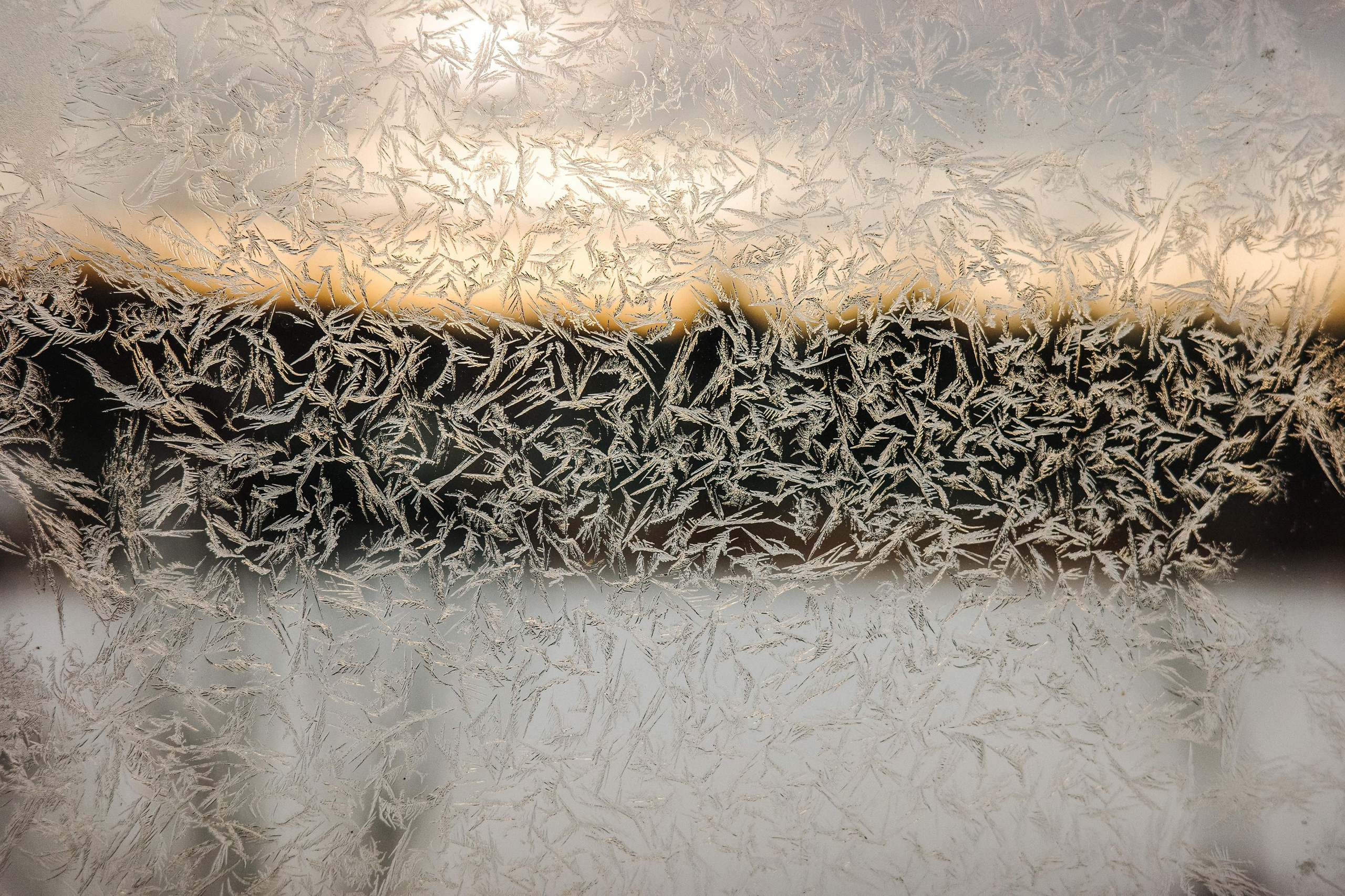 2025.01. Фотограф Алексей Алексеев