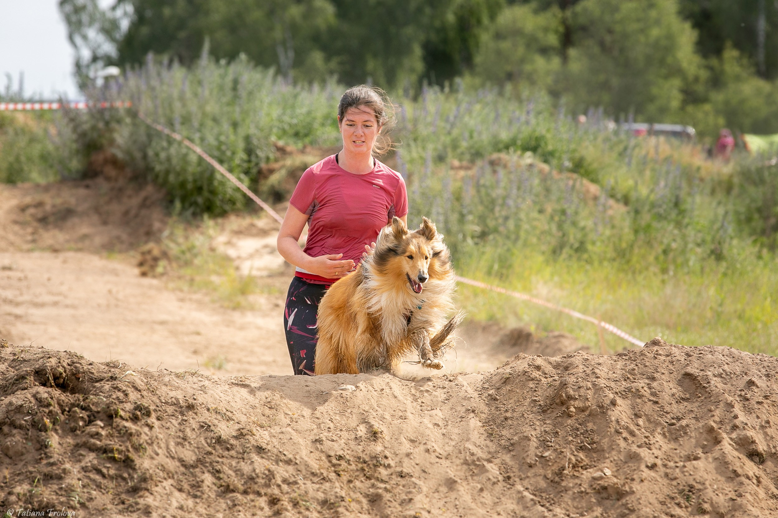Фоторепортаж с забега с собаками. Фотограф-анималист в Москве и Московской области Татьяна Фролова