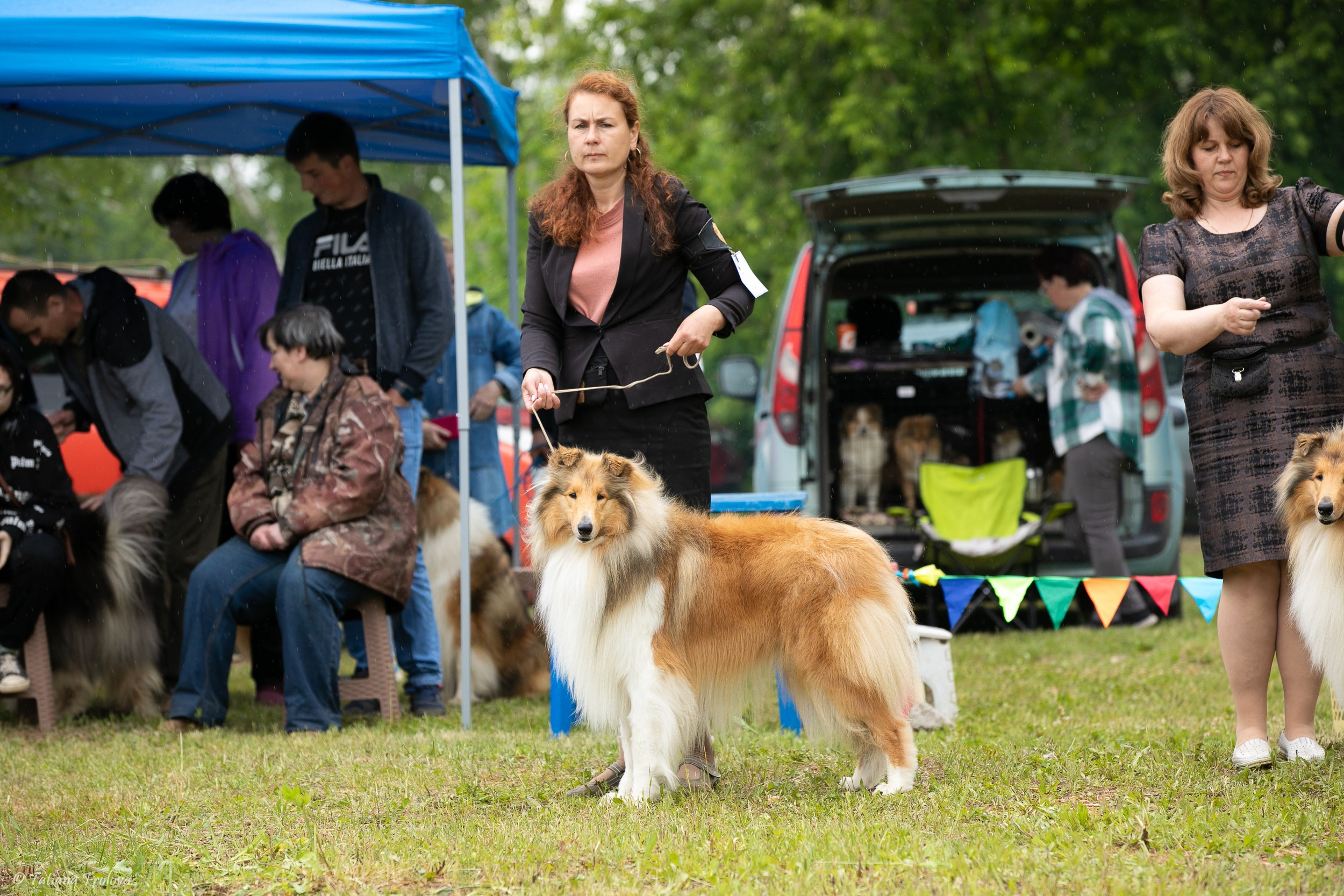 Фотосопровождение выставки собак в Московской области и Москве. Фотограф-анималист в Москве и Московской области Татьяна Фролова