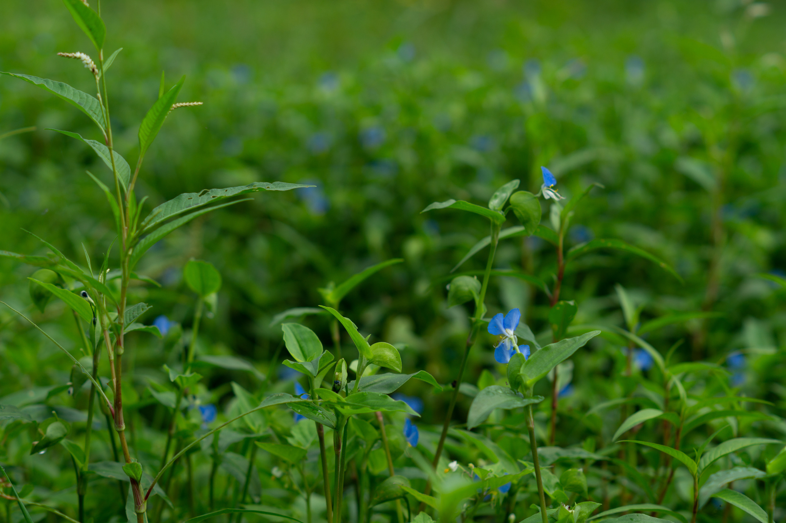 Море. Фотограф Ariadna Хабаровск/Уфа