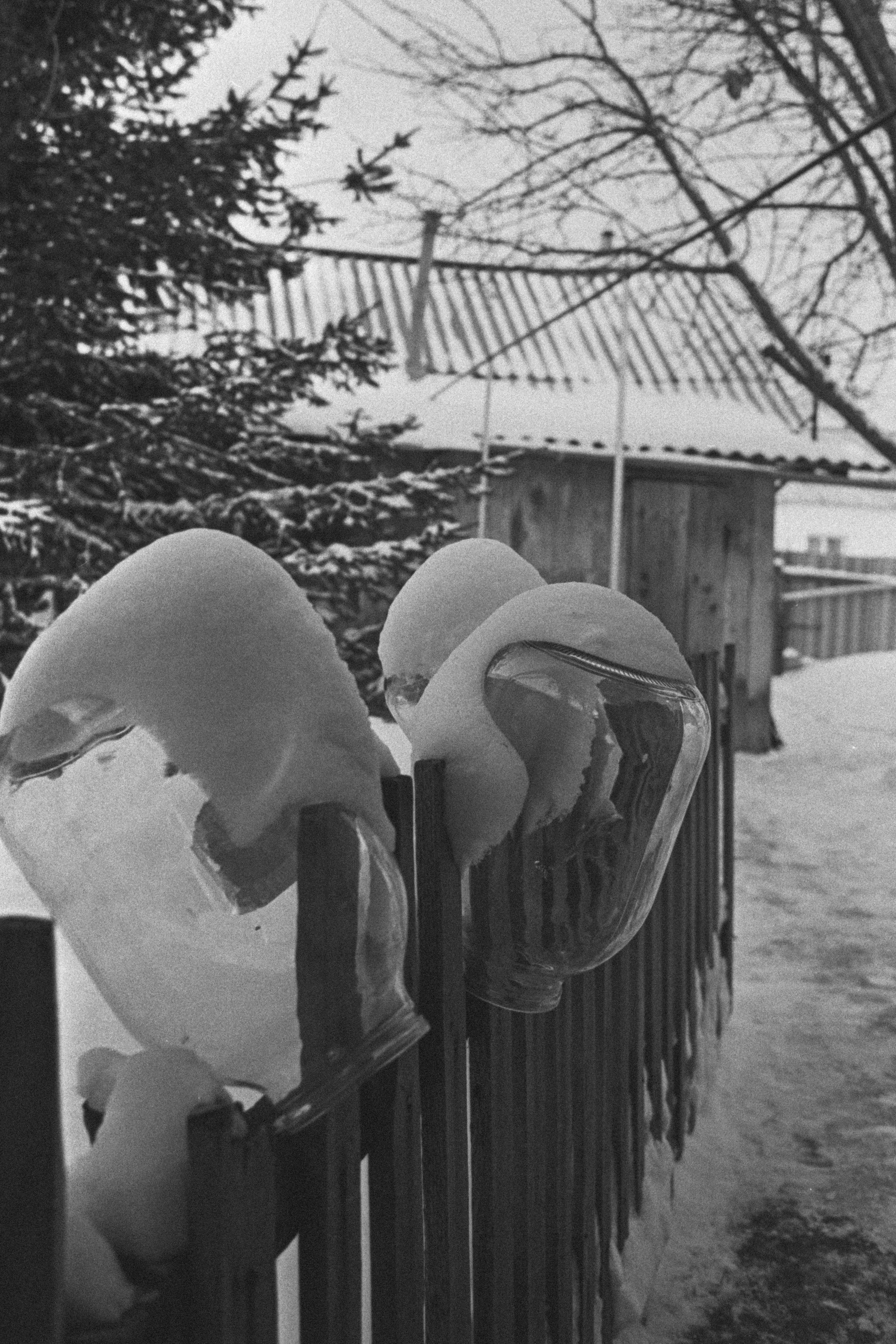 Пленочная история. Дмитрий Пропадалин, Нейрофотография