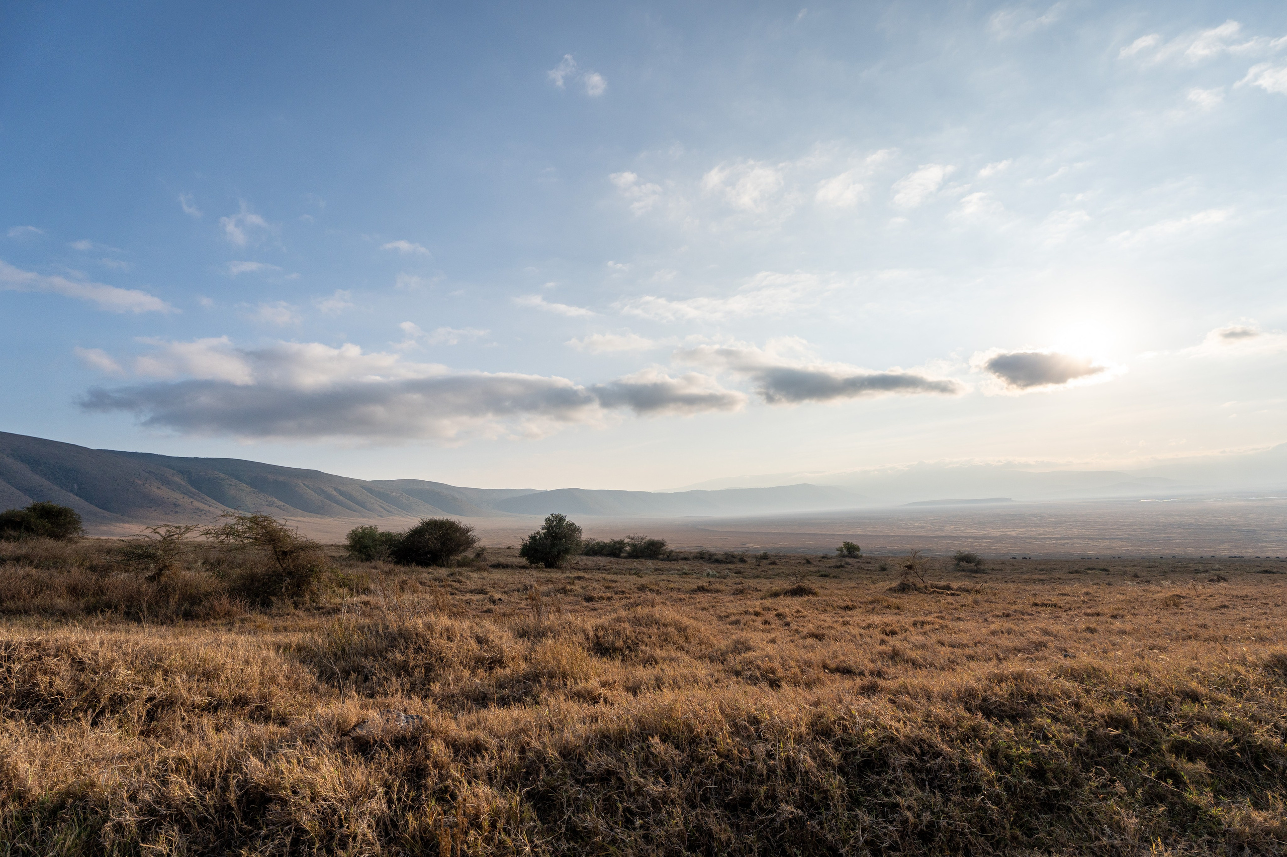 Танзания, сафари, 2025. Творческие сьемки