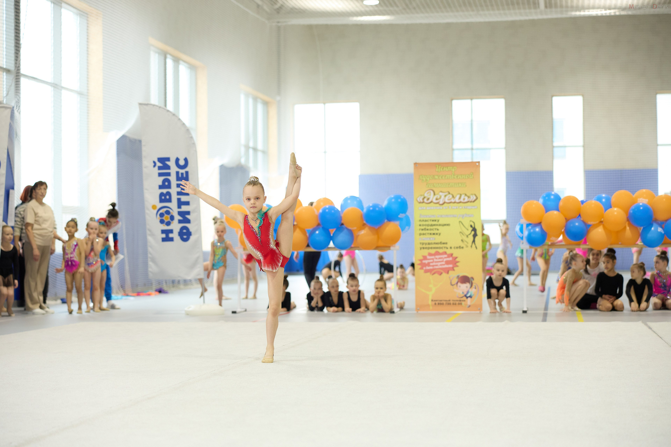 Художественная гимнастика