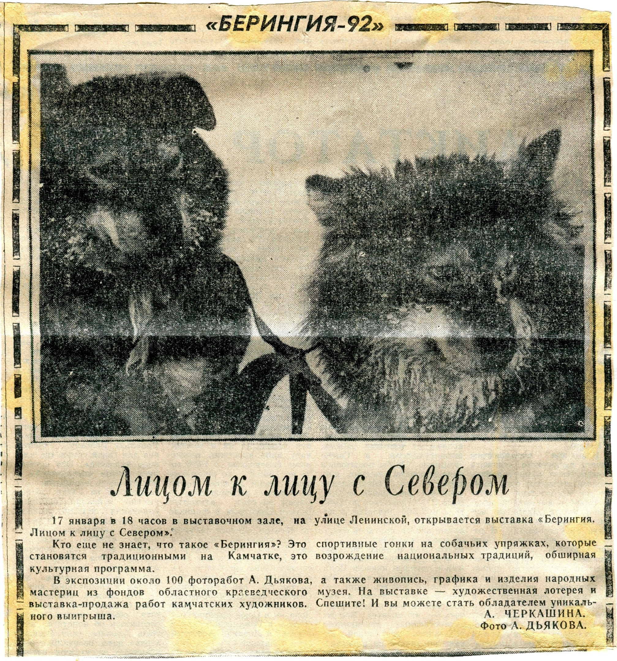 Архив газет. История гонок на собачьих упряжках «Берингия»