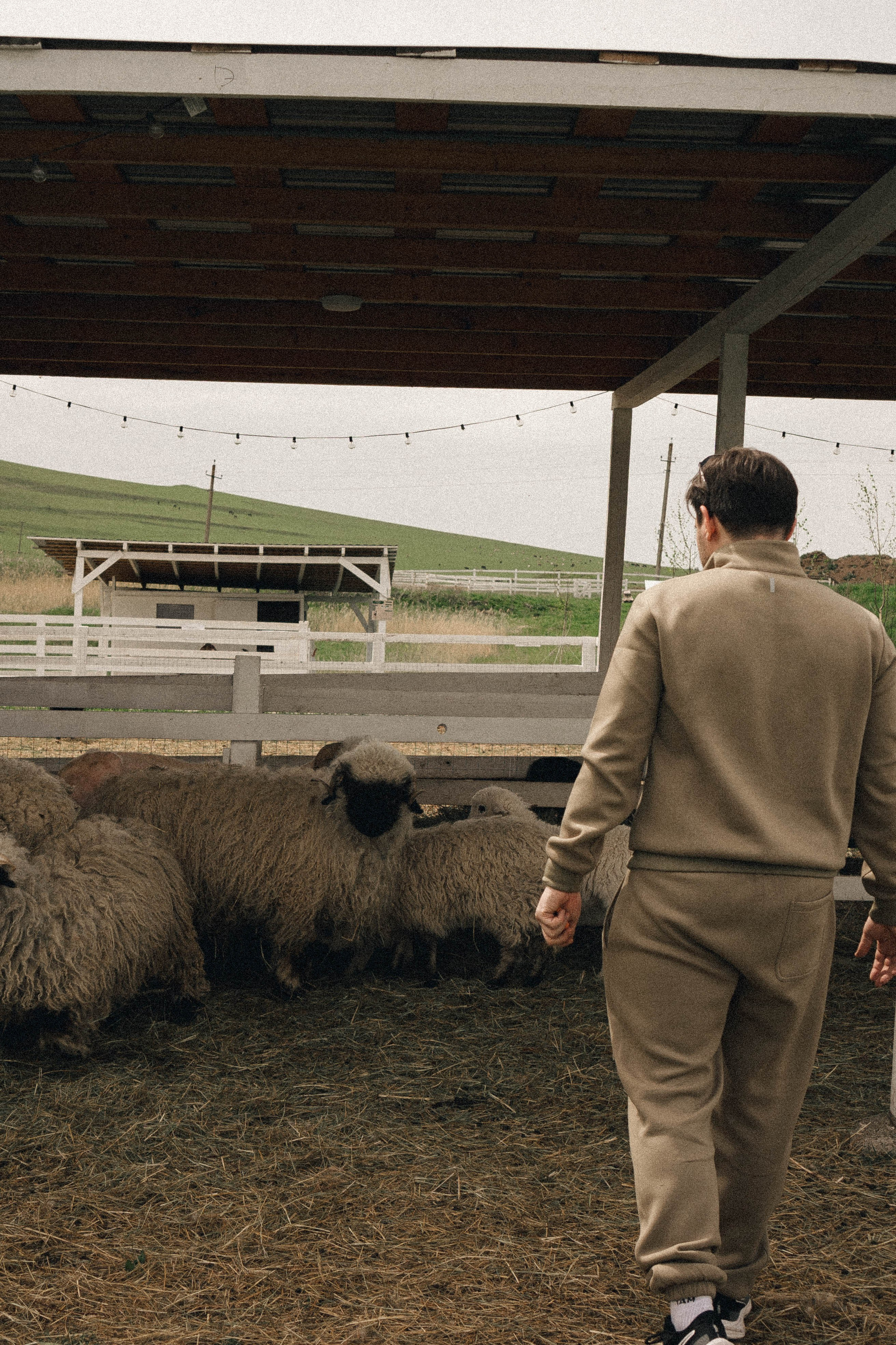 Ферма Альпак. Профессиональный фотограф, Санкт-Петербург — Виктория Богомолова