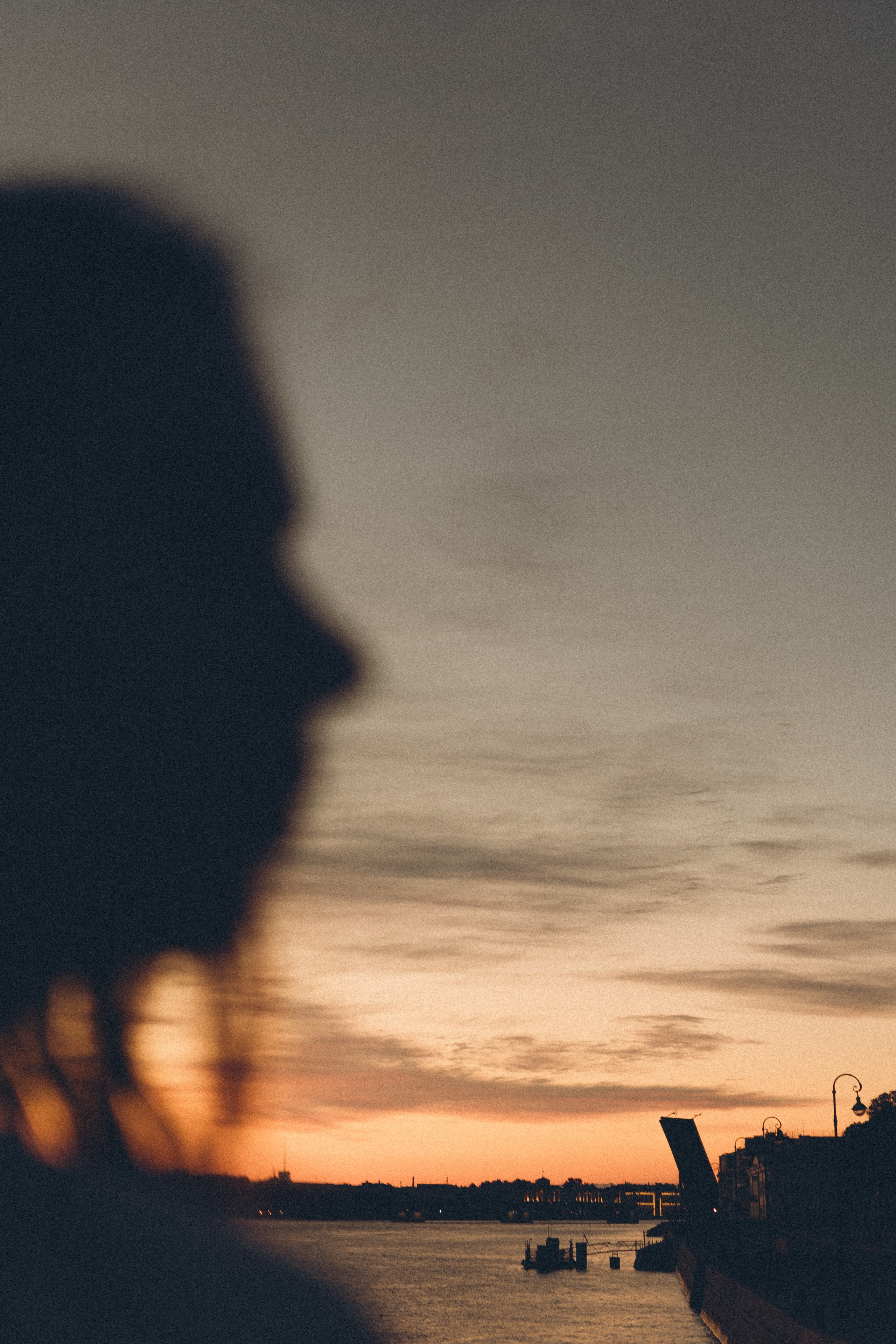 РАССВЕТ С РАЗВОДНЫМИ МОСТАМИ. Профессиональный фотограф, Санкт-Петербург — Виктория Богомолова