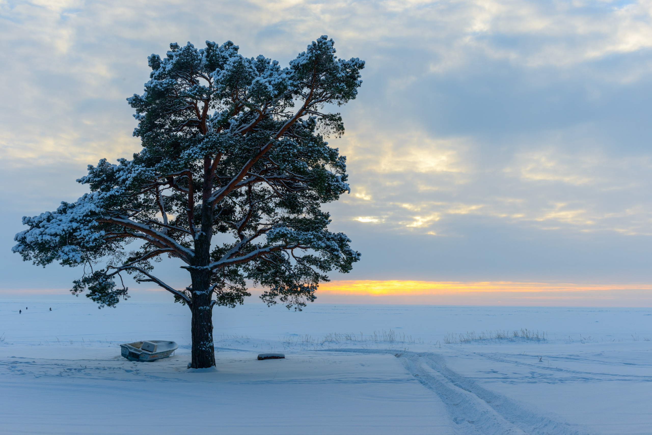 Landscape, nature, plants, details of the world around us. Personal website of photographer Dmitry Raikin