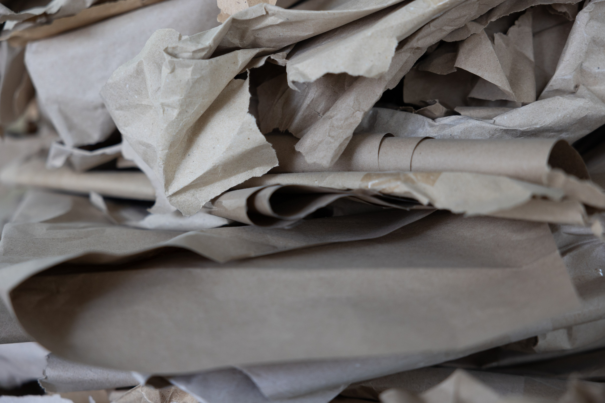 Art prints. Фотограф алина стерхова, алина стерхова фотограф, фотограф москва