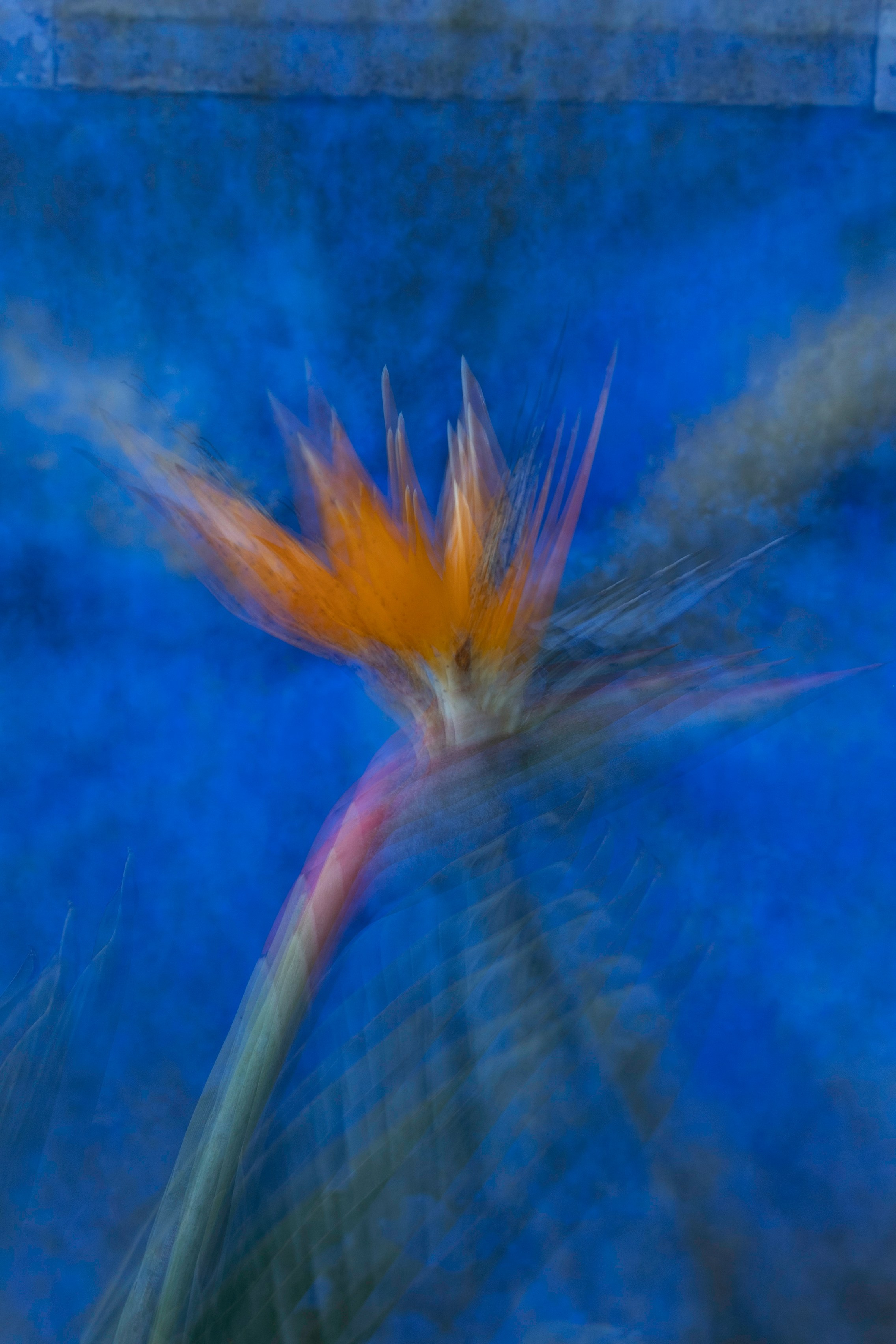 Порталы | Portals. Фотограф алина стерхова, алина стерхова фотограф, фотограф москва