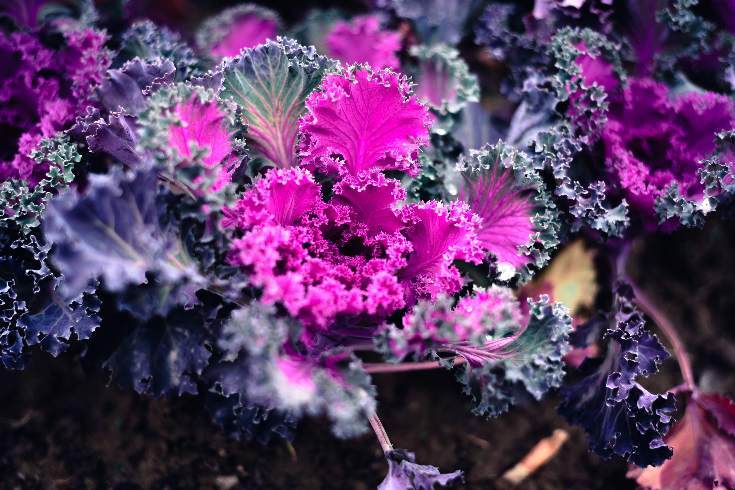 Путешествие по Китаю рекламного фотографа из Гуанчжоу. Коммерческий и предметный фотограф в Гуанчжоу Коваленко Александр